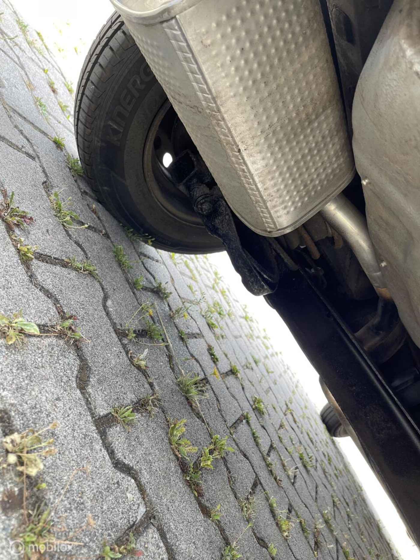 Foto van Fiat Fiat Panda