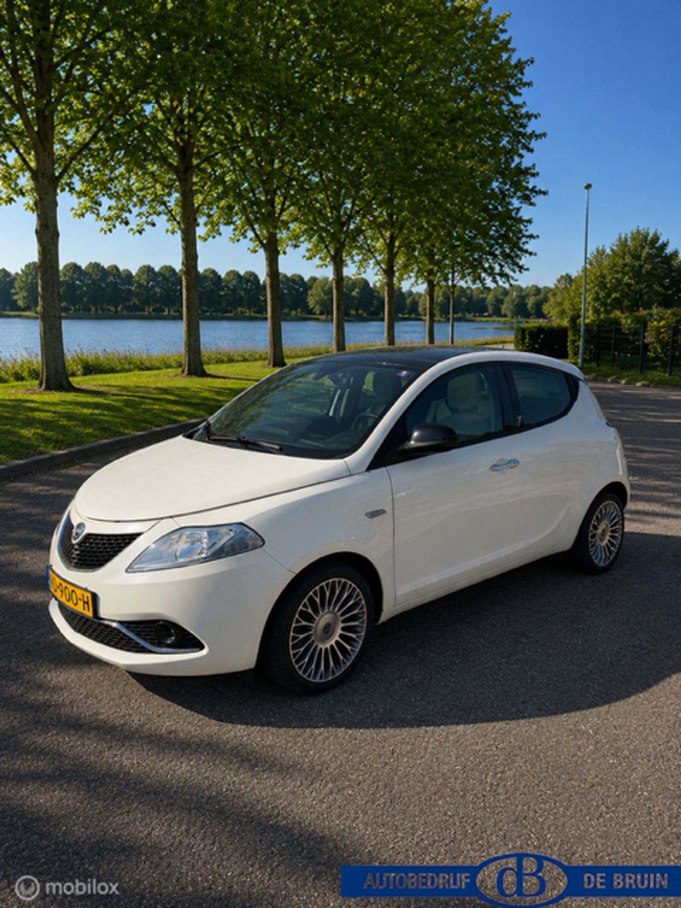 Foto van Lancia Ypsilon