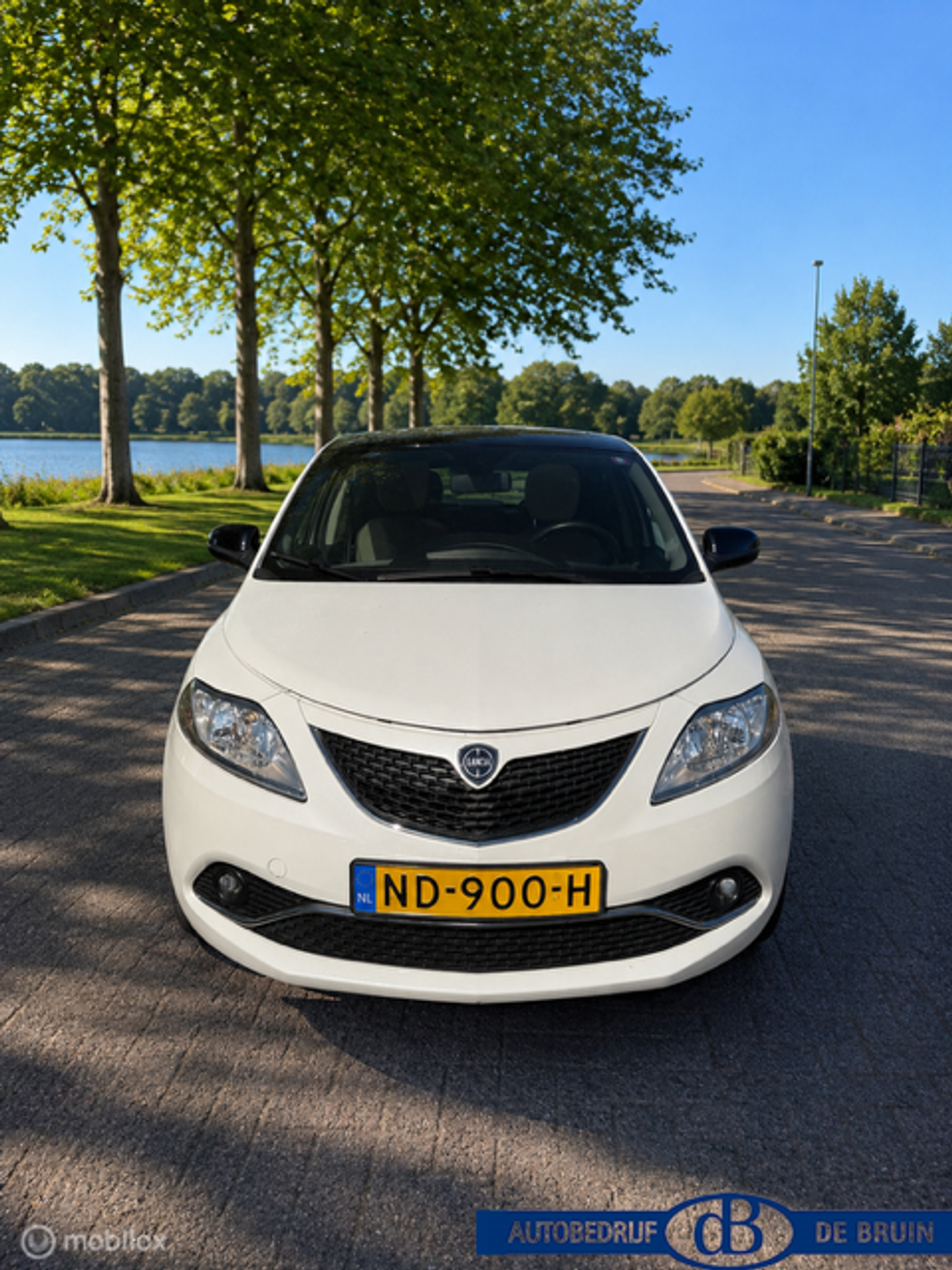 Foto van Lancia Ypsilon