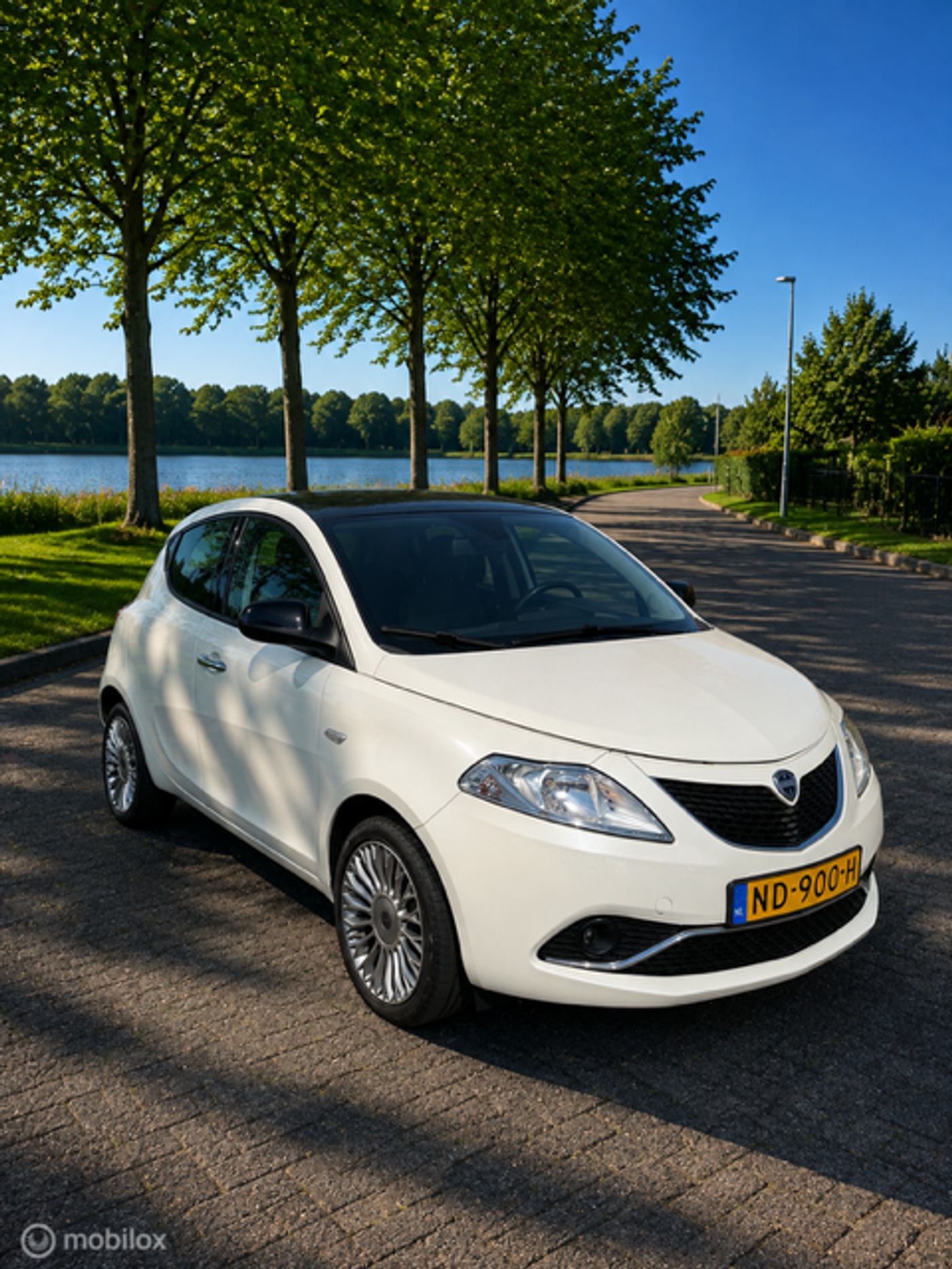 Foto van Lancia Ypsilon
