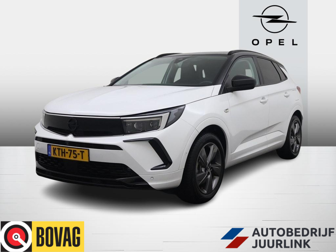 Opel Grandland 1.6 Turbo Plug-In Hybrid 4x4 GSe 300pk 360.Camera/ 2023 - voorkant