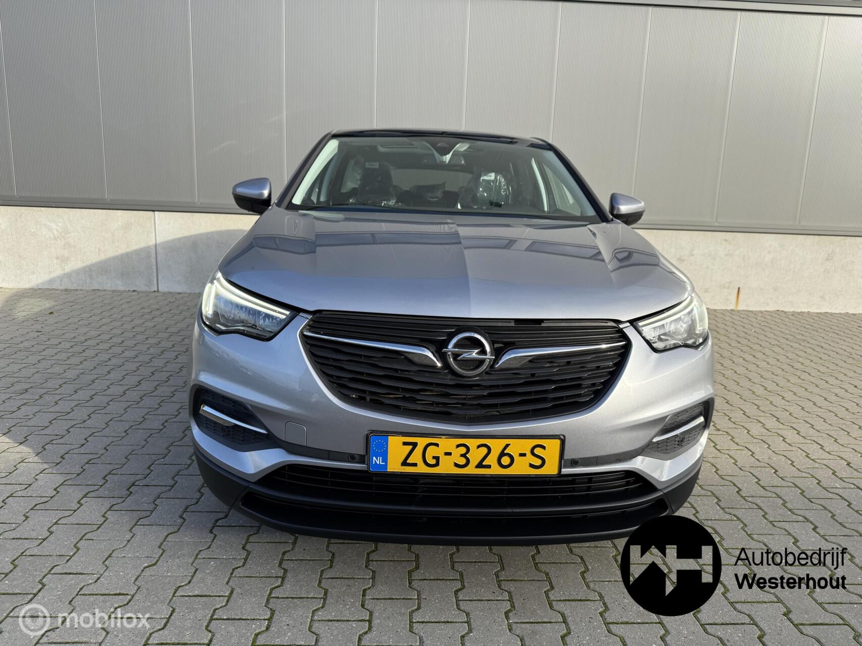 Foto van Opel Grandland X