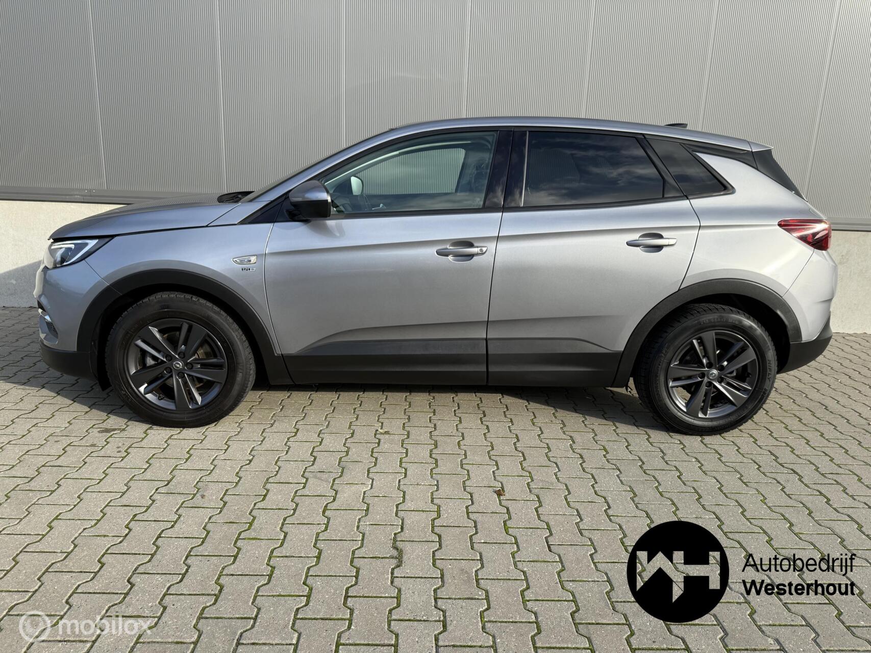 Foto van Opel Grandland X