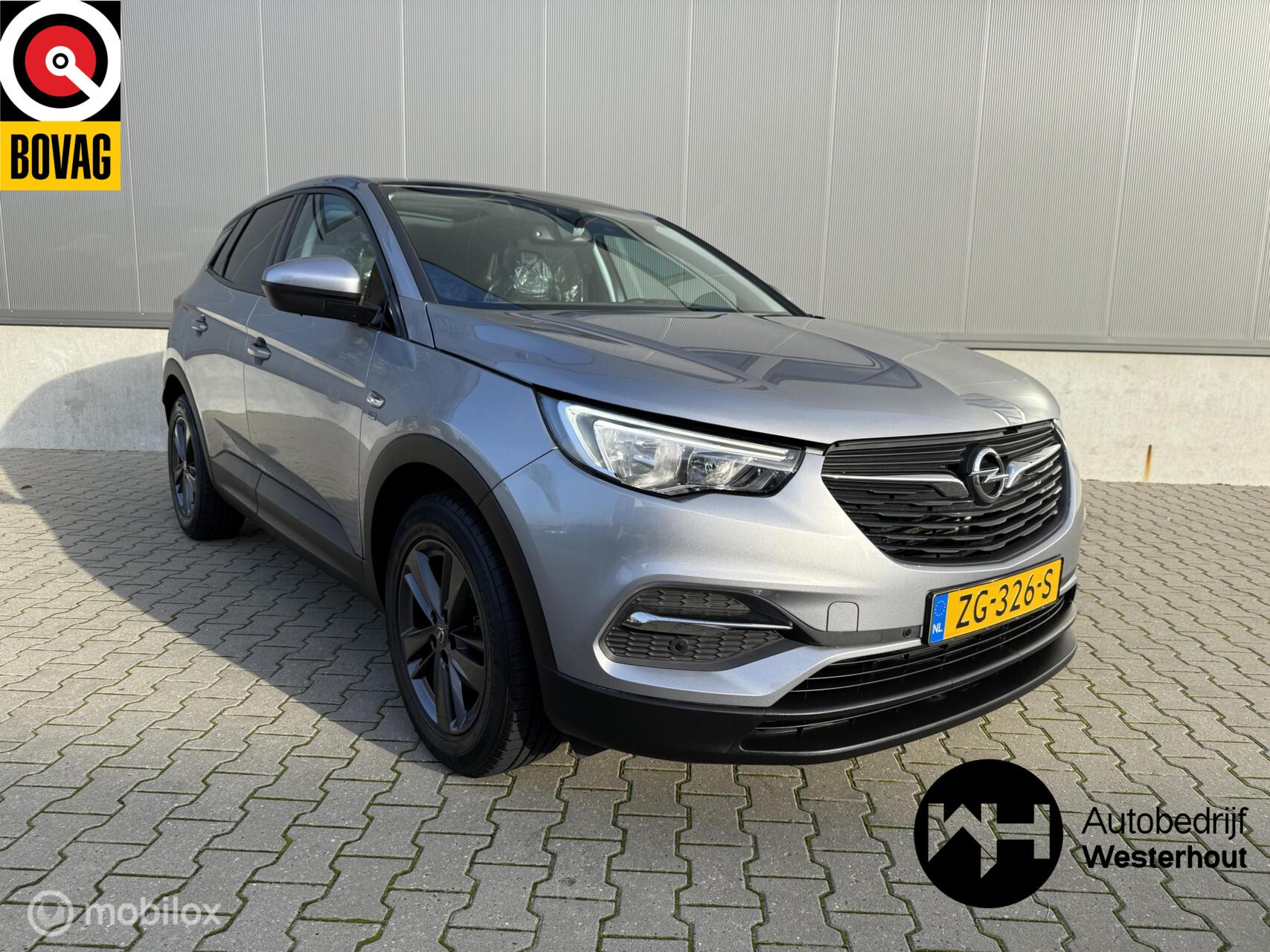 Opel Grandland X 1.2 Turbo 120 Jaar Edition PANO AUTOMAAT APK 2019 - voorkant