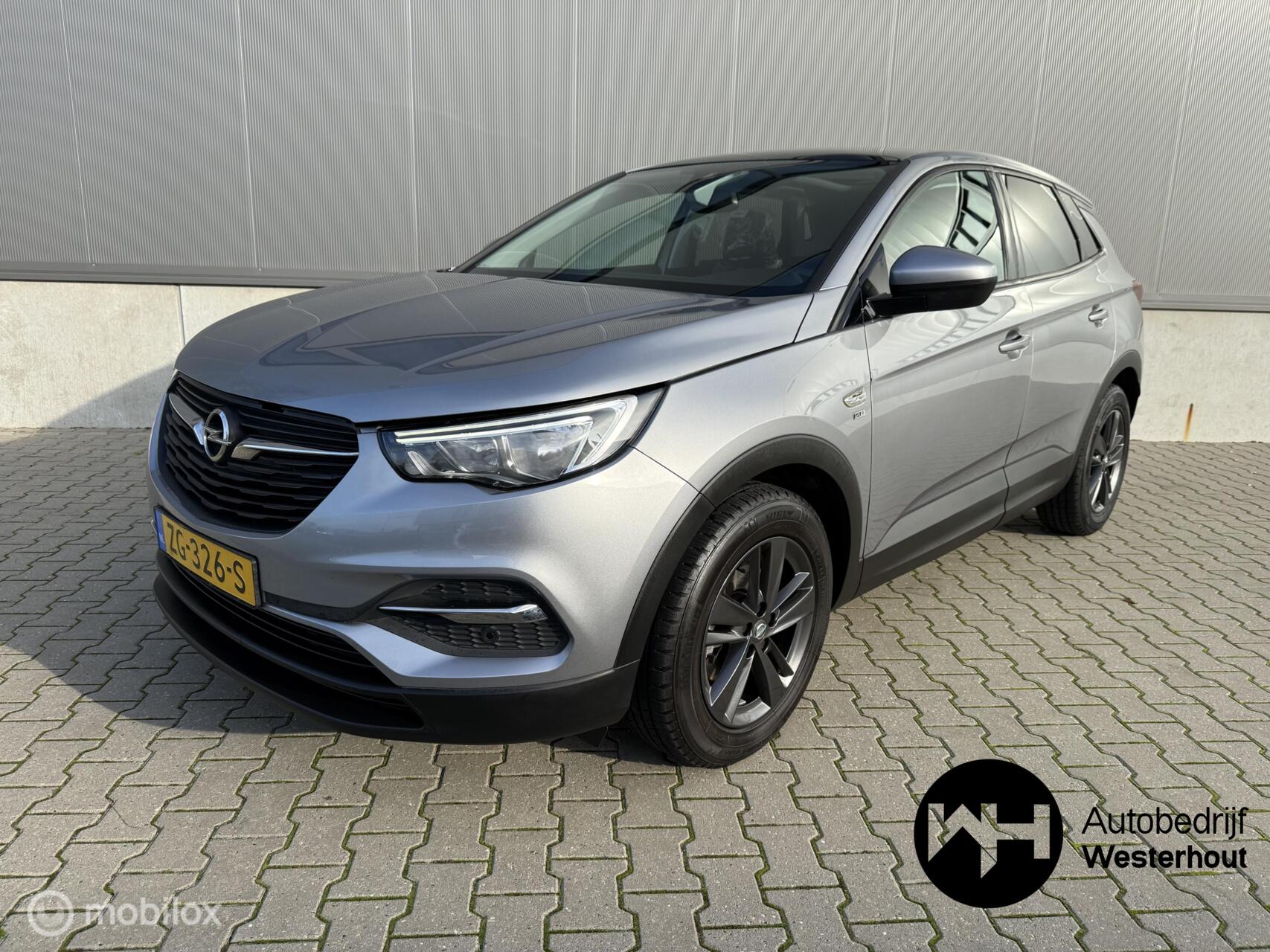 Foto van Opel Grandland X