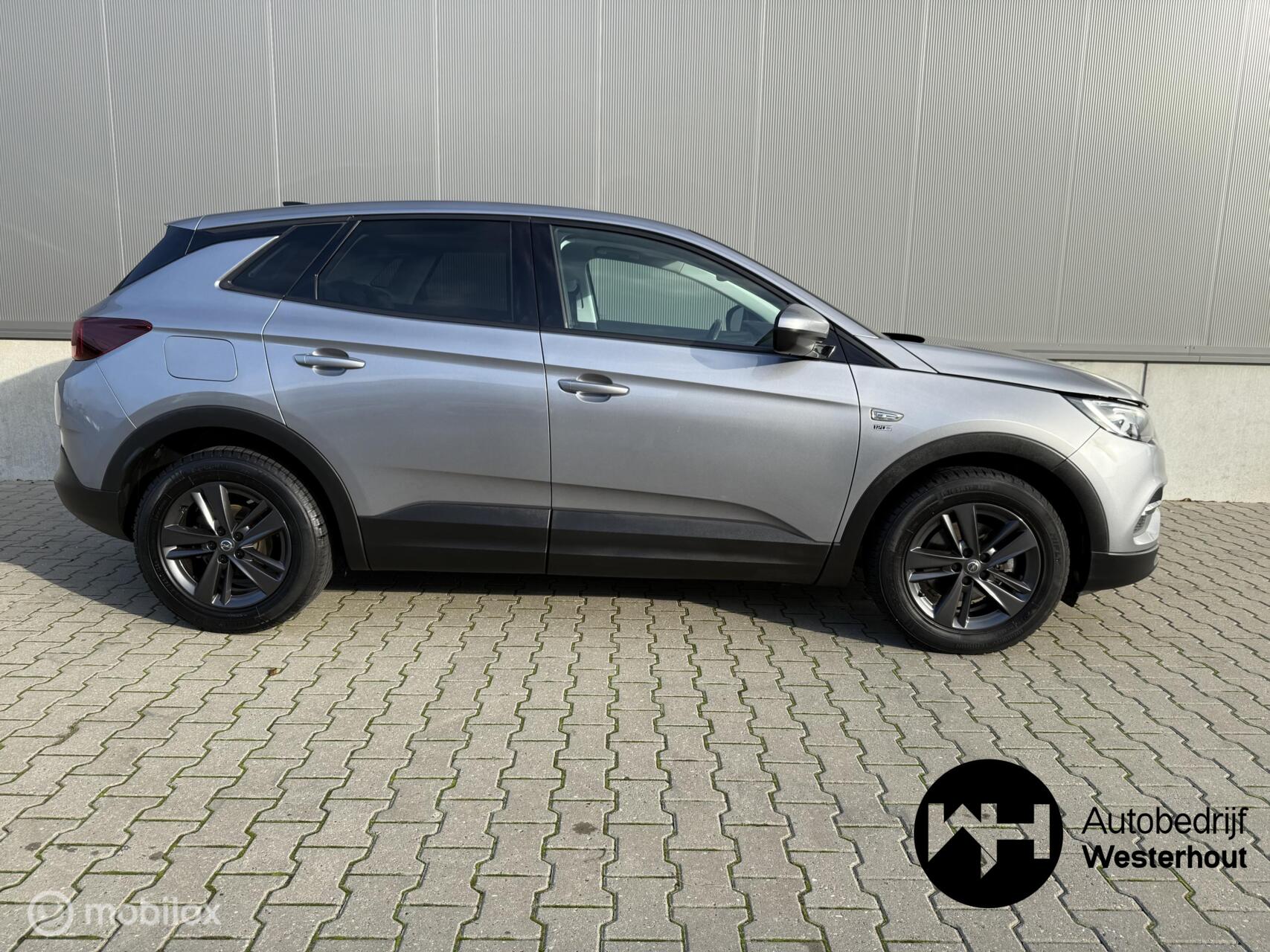 Foto van Opel Grandland X