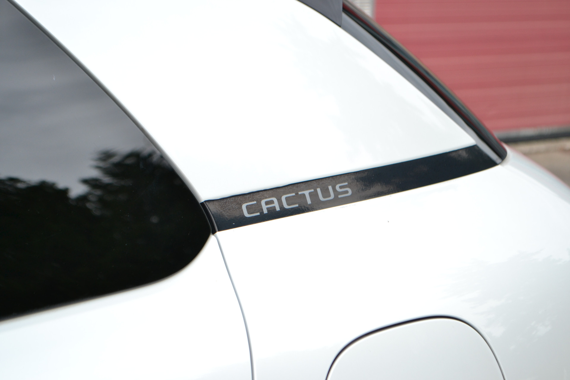 Foto van Citroen C4 Cactus