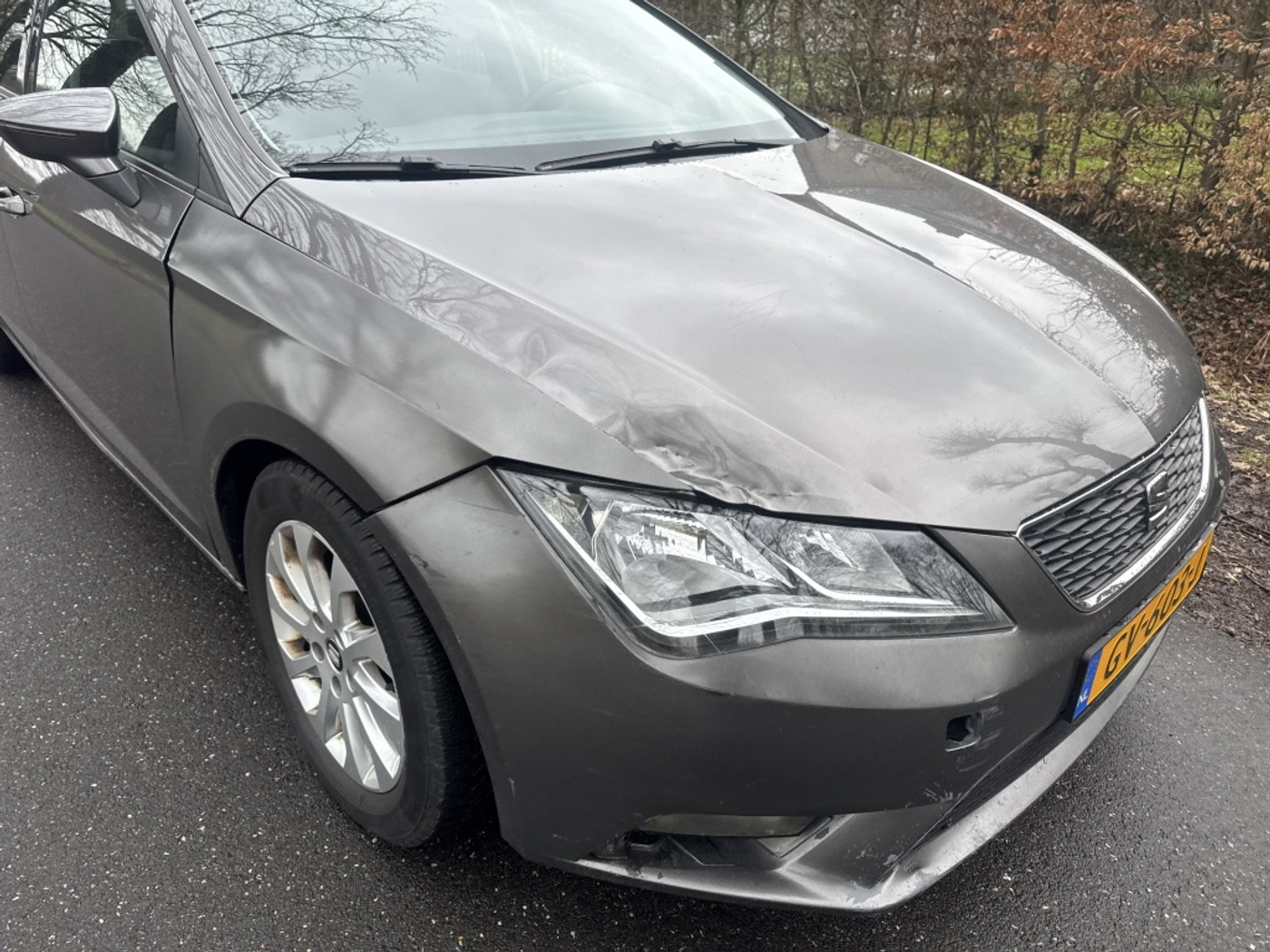 Foto van Seat Leon ST