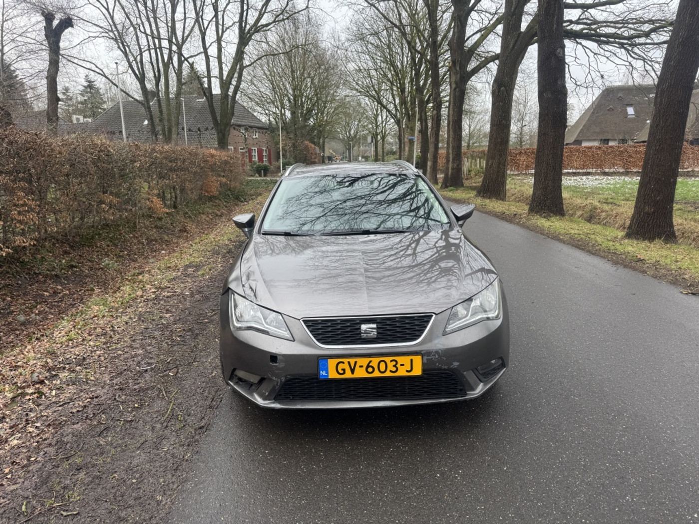 Foto van Seat Leon ST