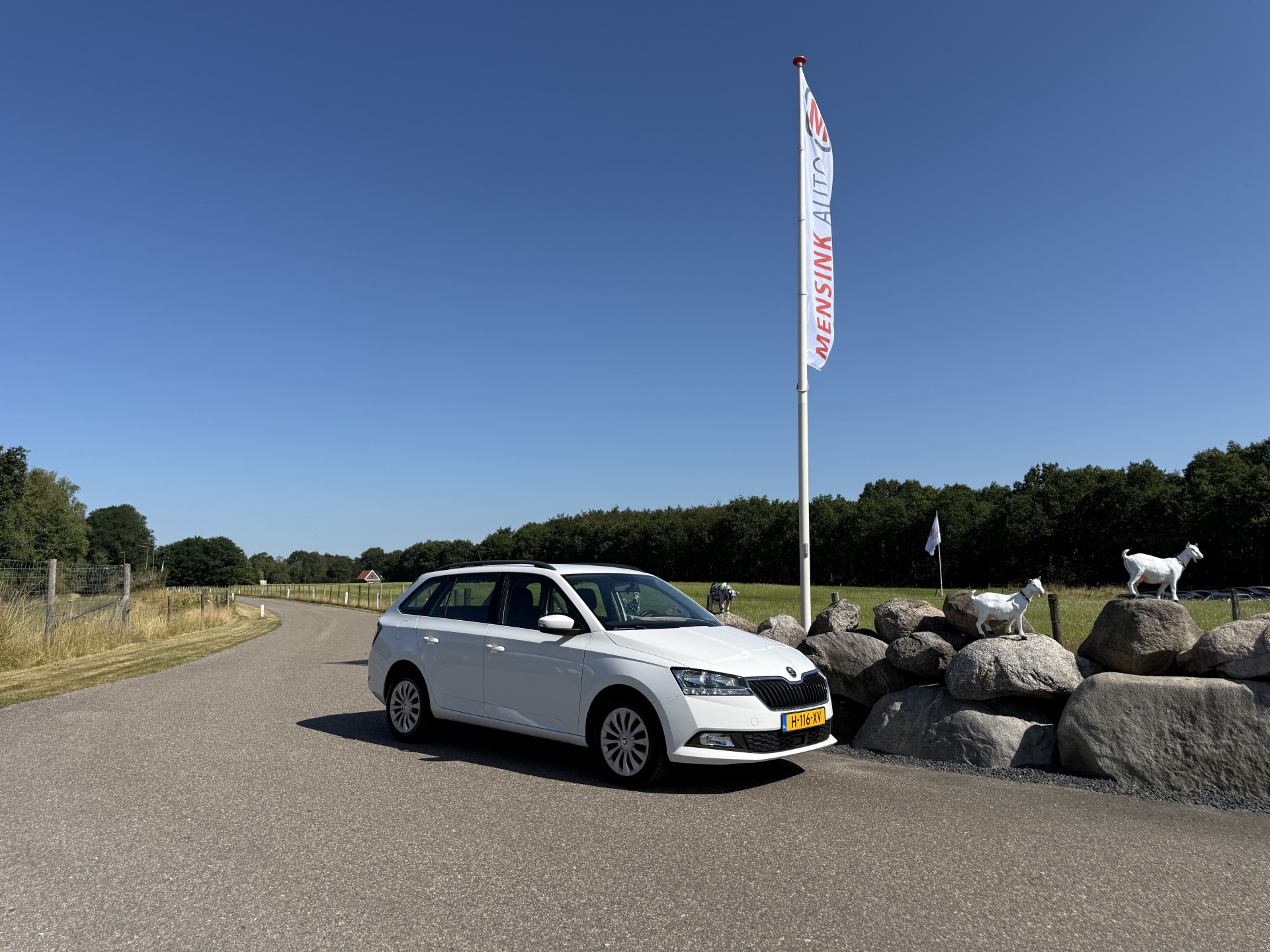 Foto van Skoda Fabia