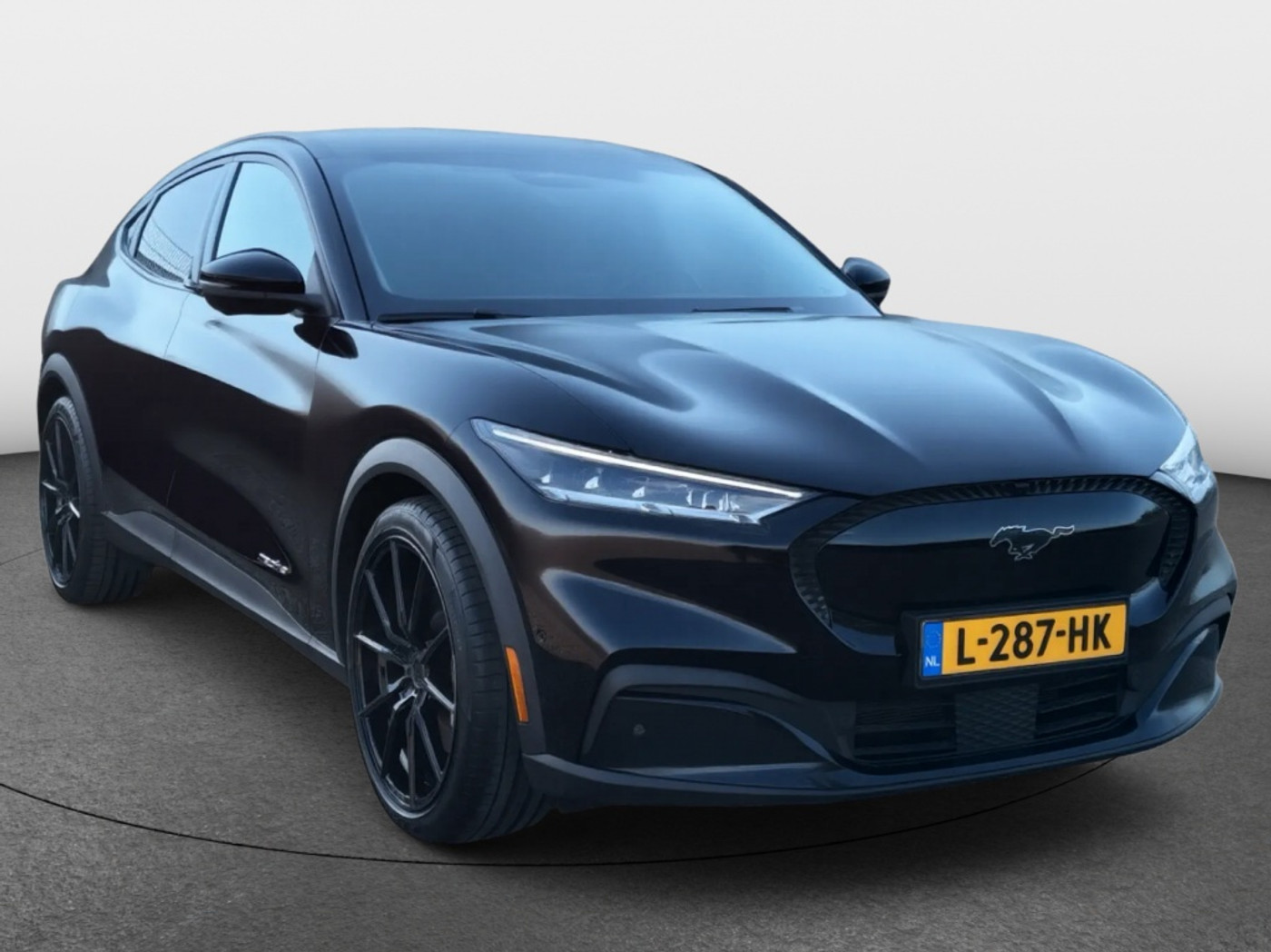 Foto van Ford Mustang Mach-e