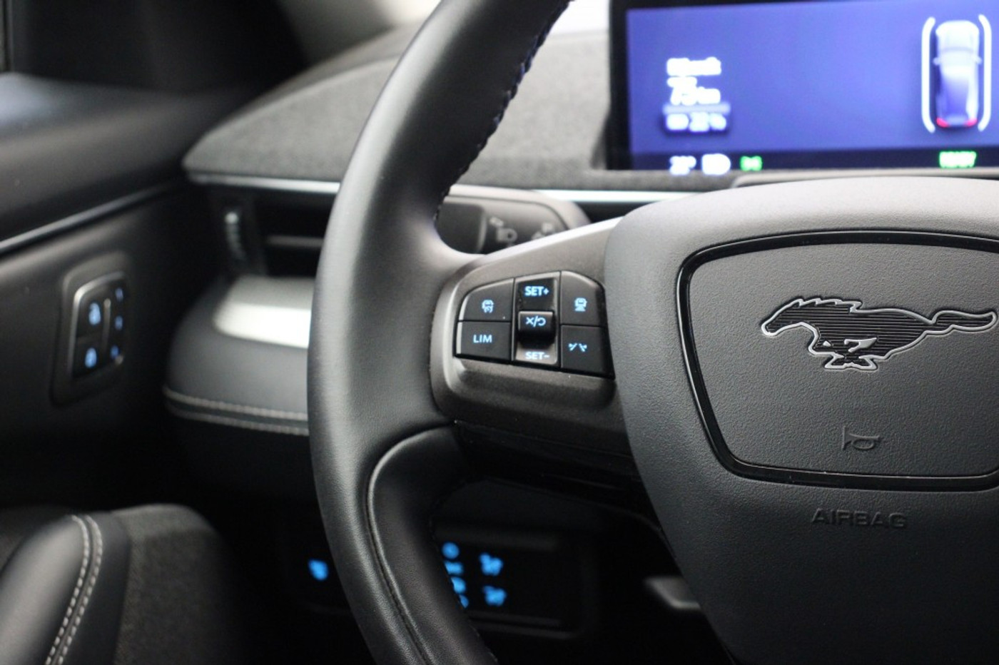 Foto van Ford Mustang Mach-e