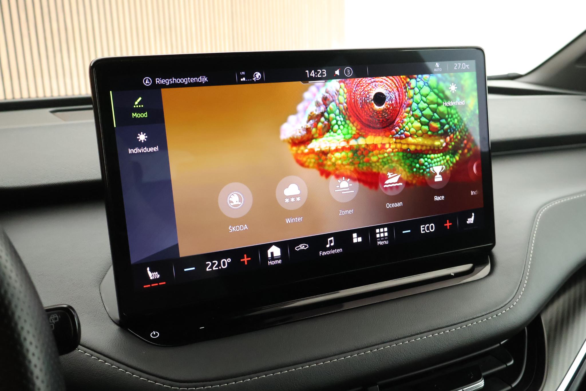 Foto van Skoda Enyaq 80