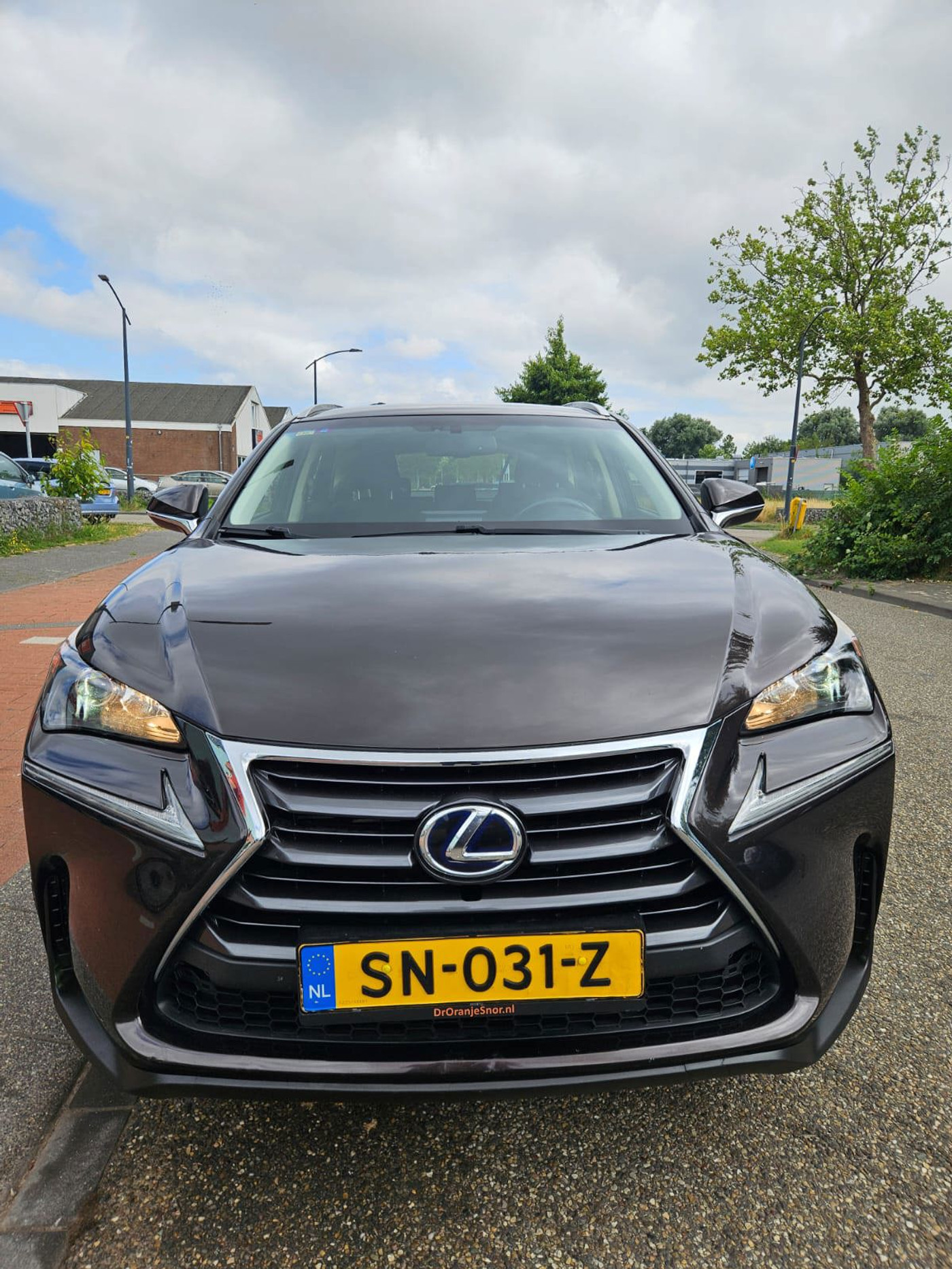 Foto van Lexus Lexus Nx300h