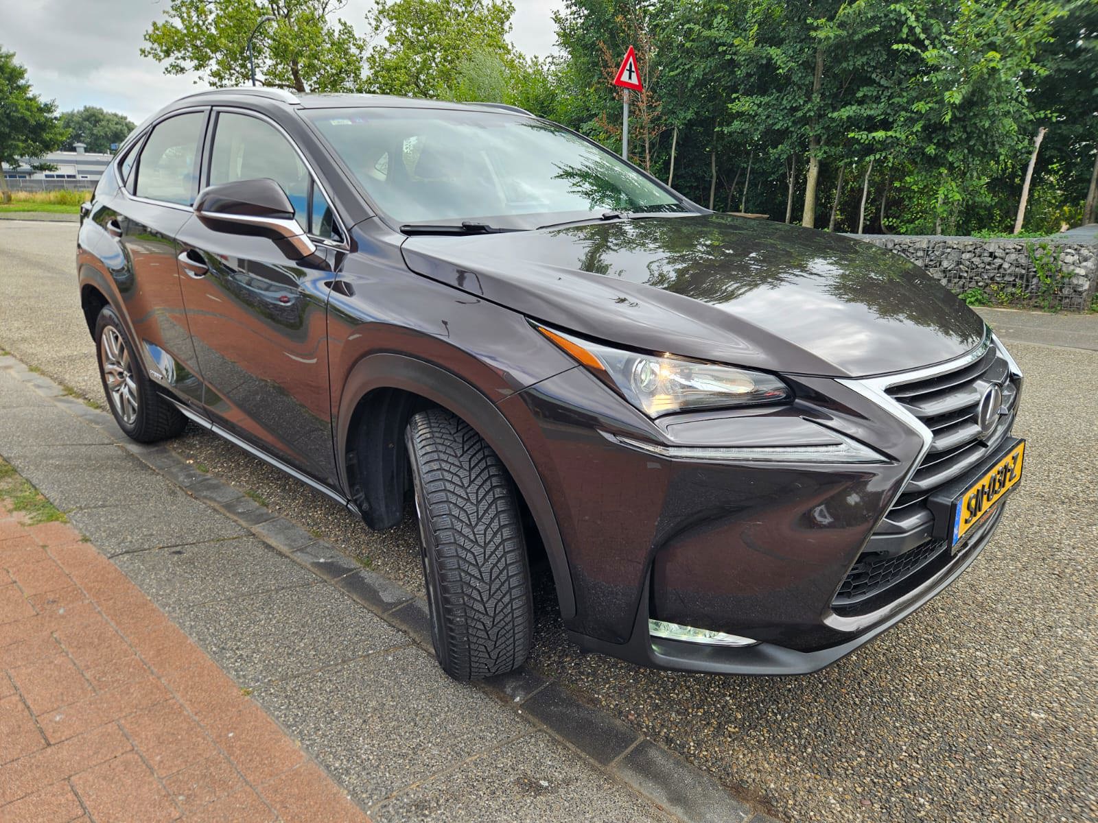 Foto van Lexus Lexus Nx300h
