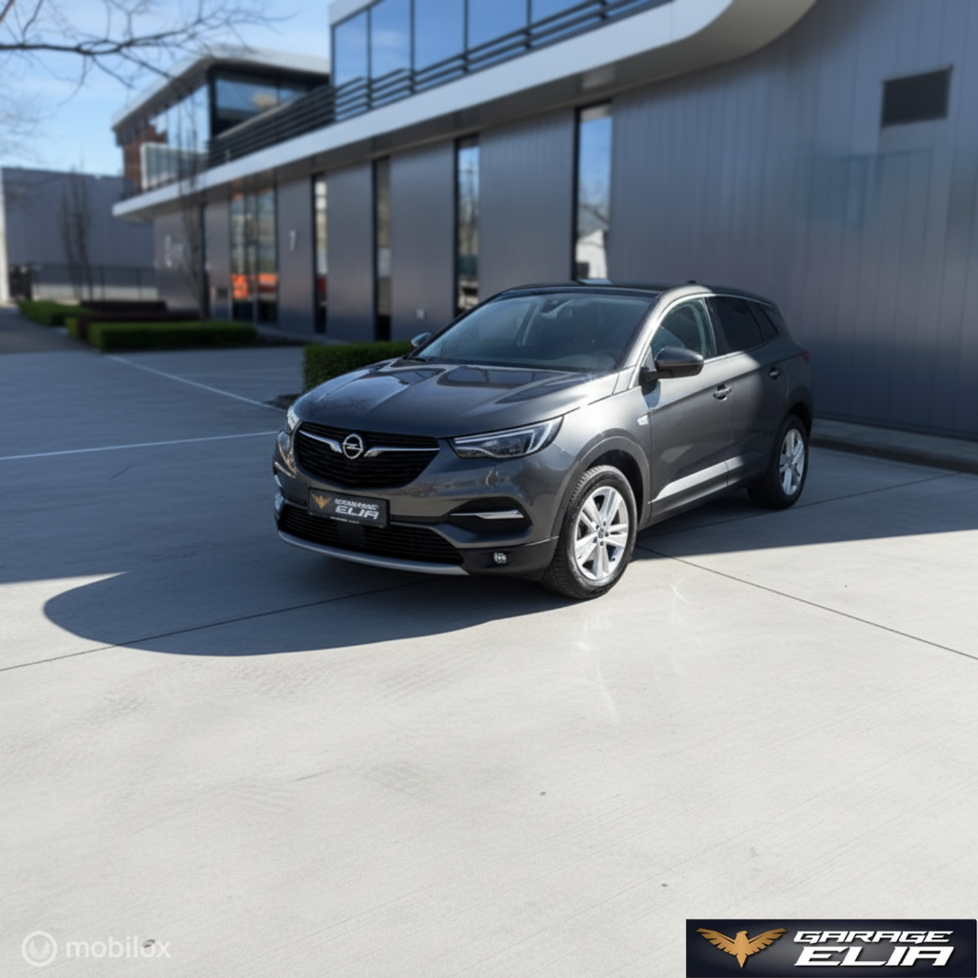 Foto van Opel Grandland X