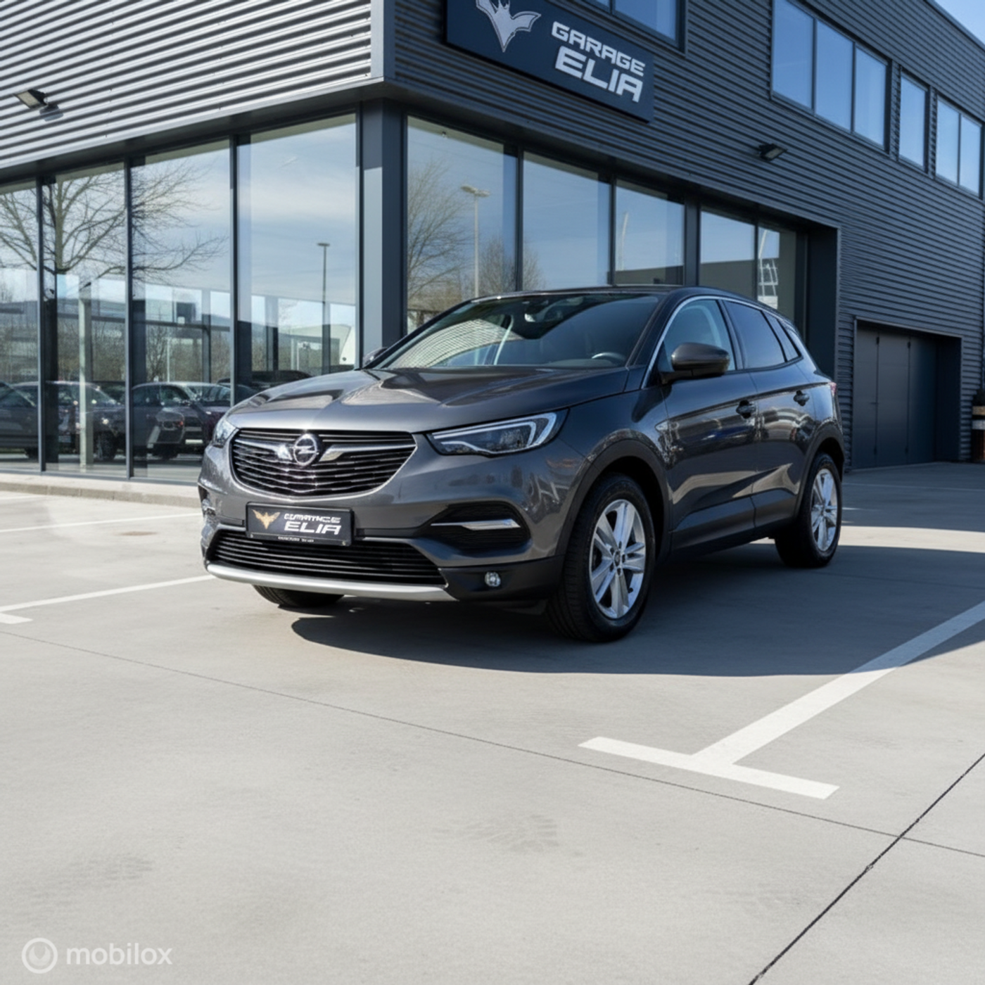 Foto van Opel Grandland X