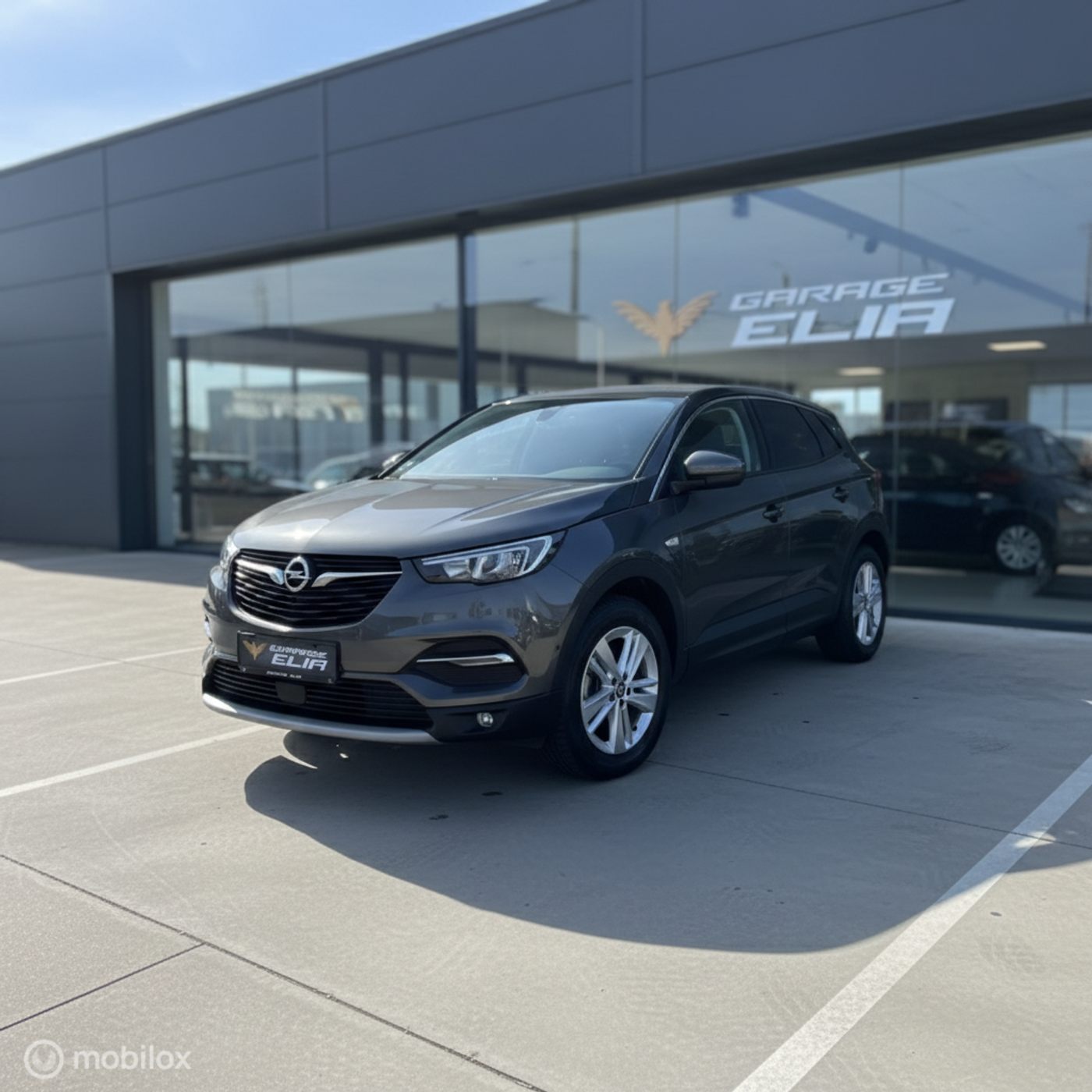 Foto van Opel Grandland X