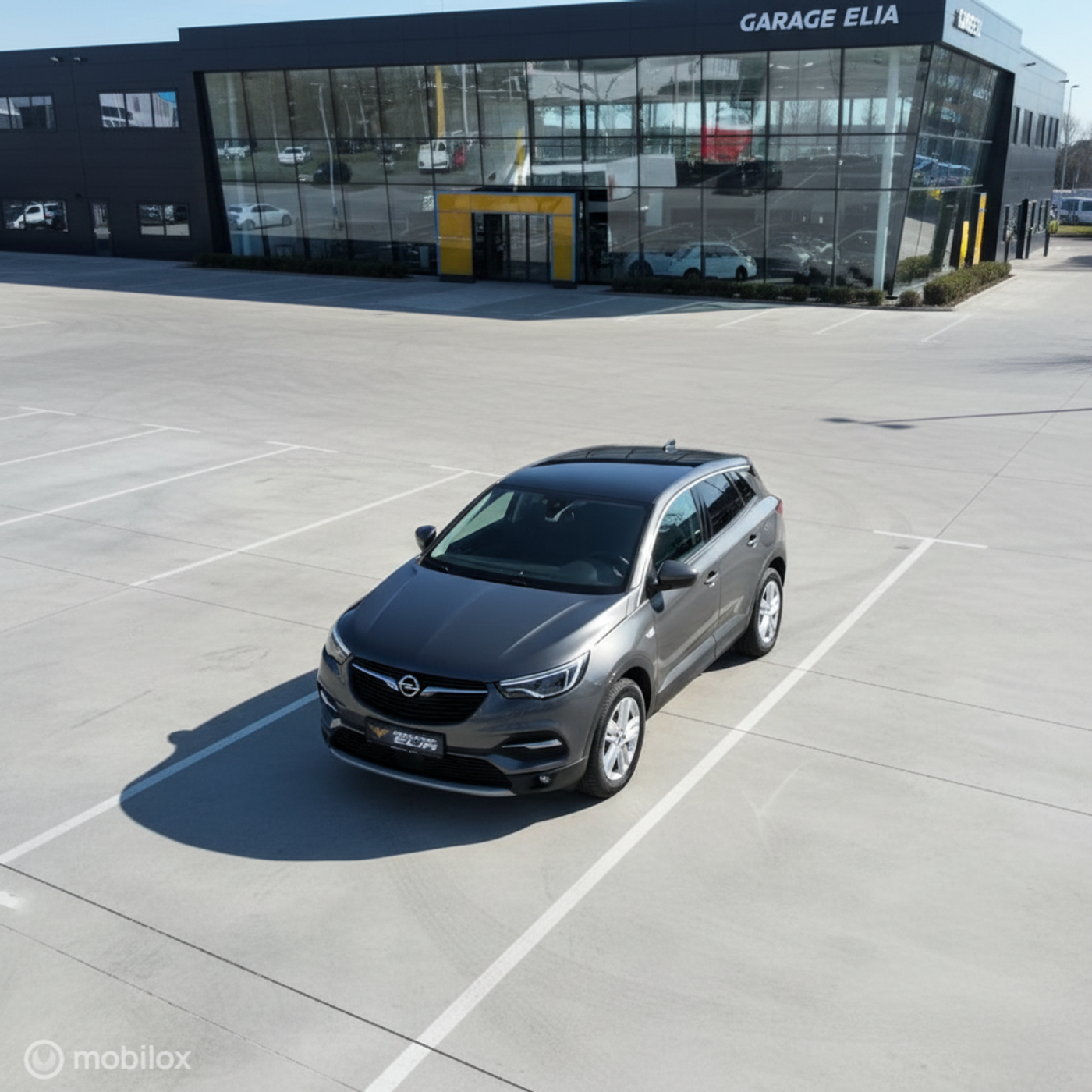 Foto van Opel Grandland X