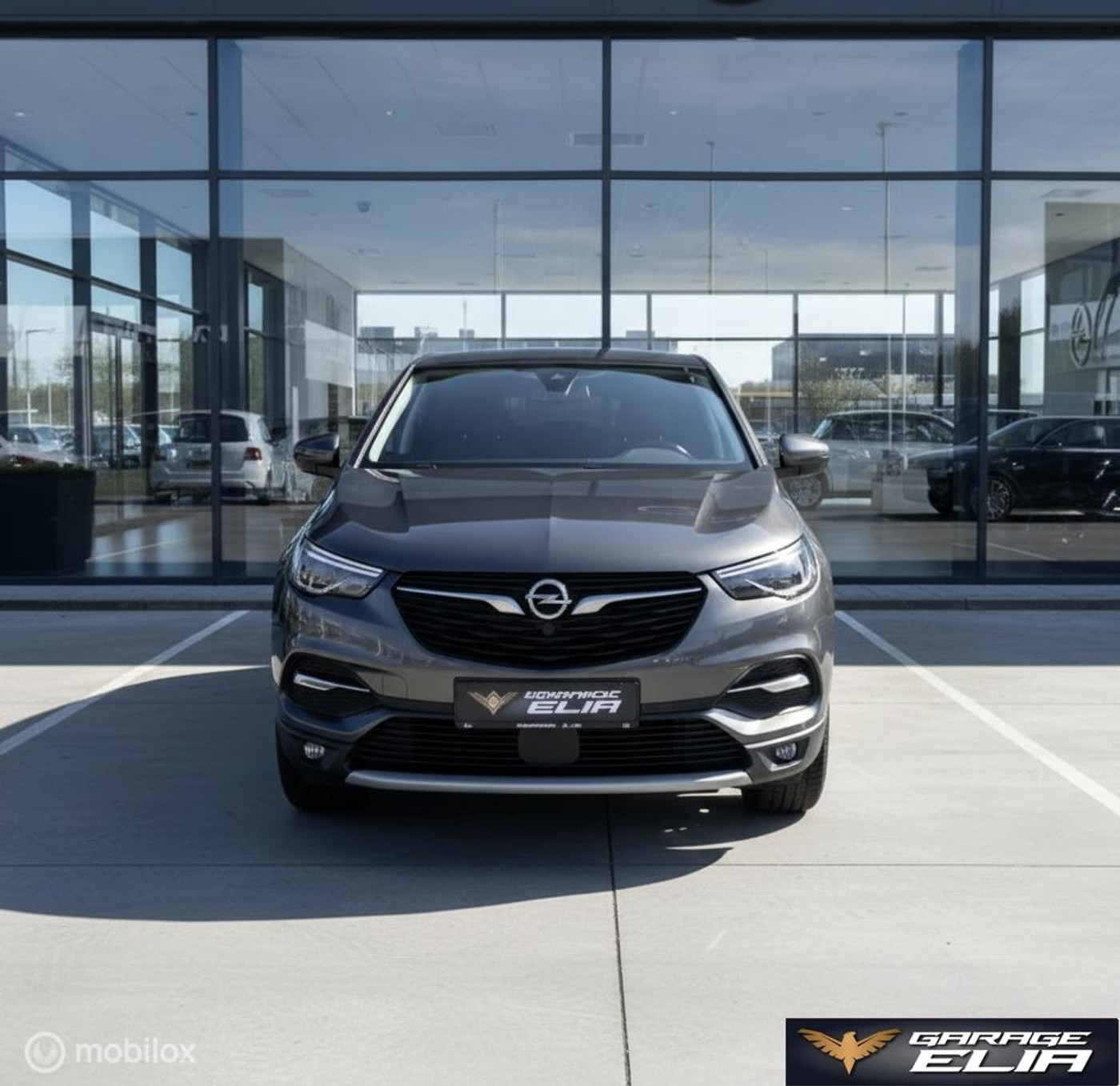 Foto van Opel Grandland X