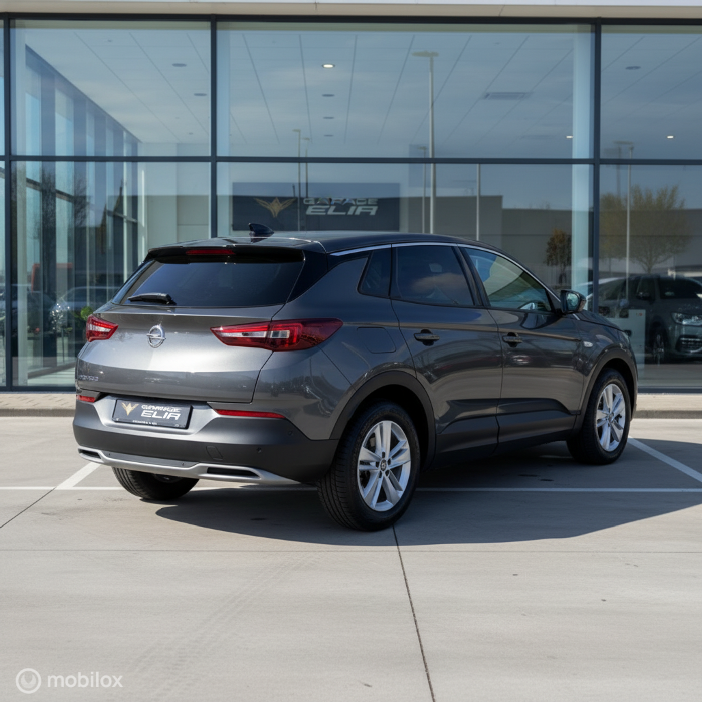 Foto van Opel Grandland X
