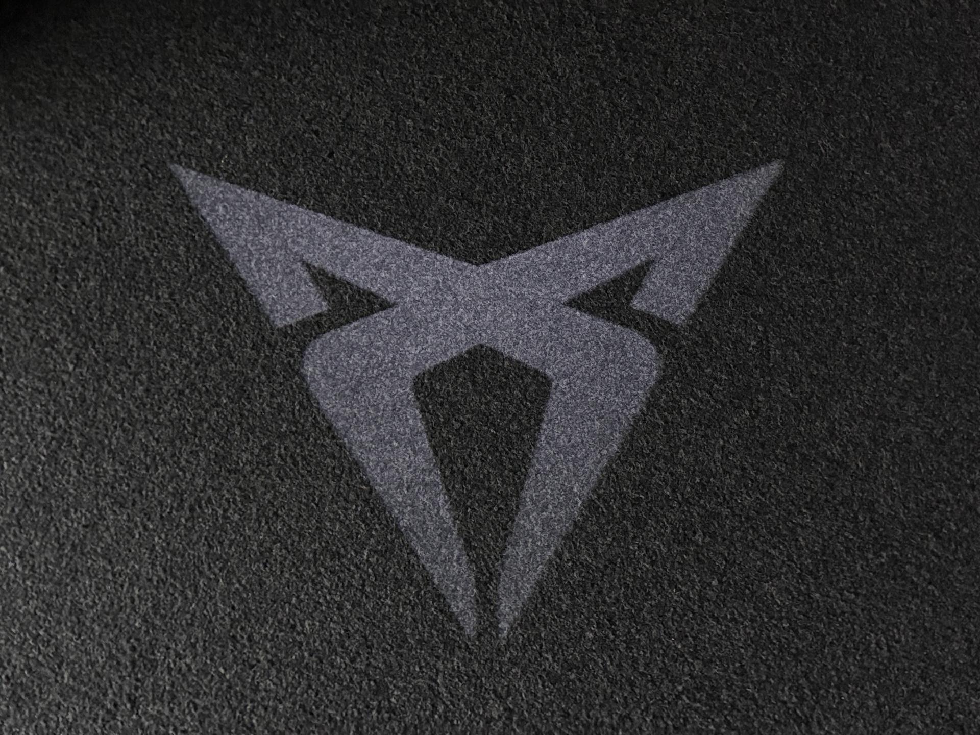 Foto van Cupra Formentor E-hybrid