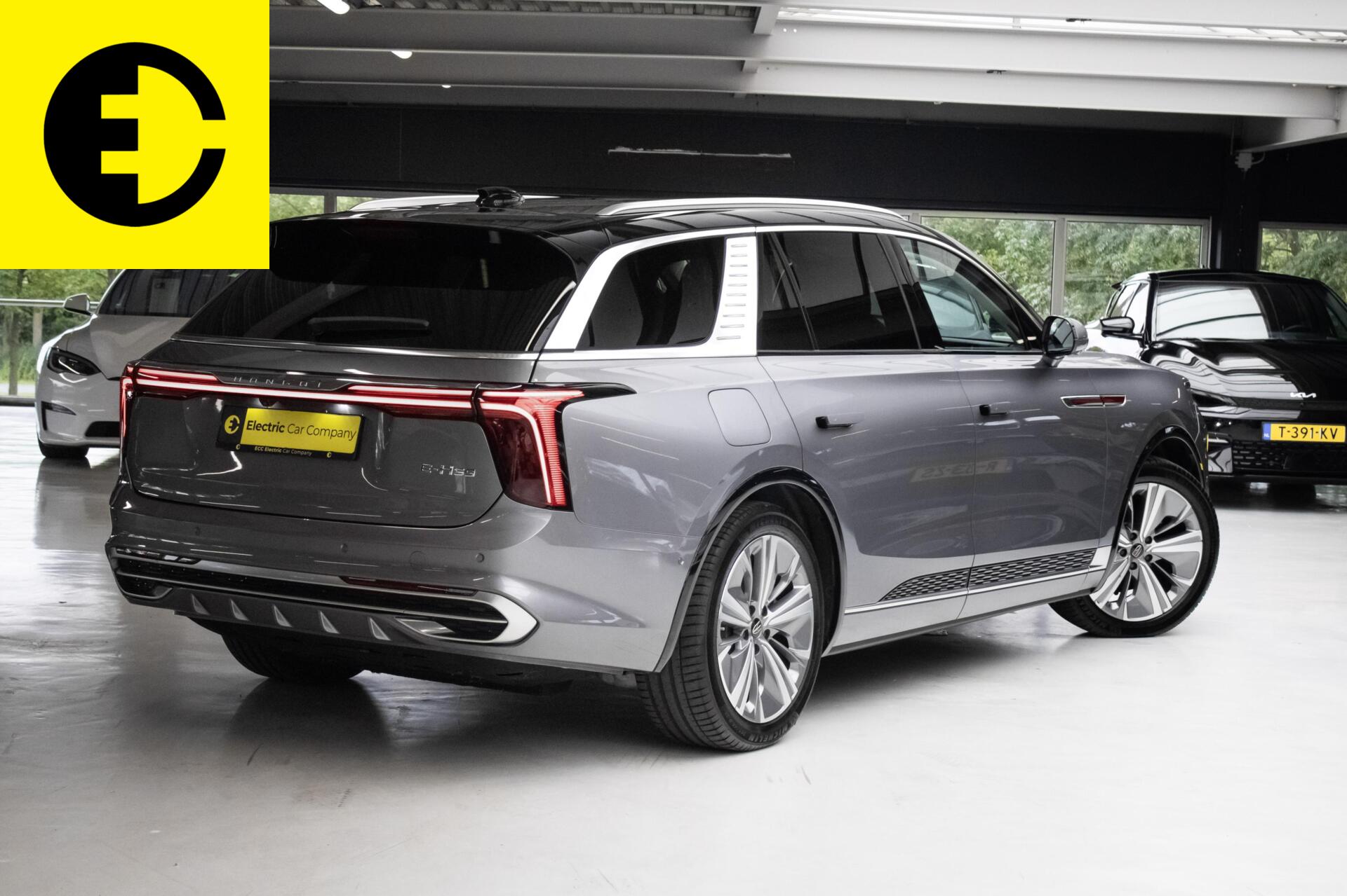 Foto van Hongqi E-hs9