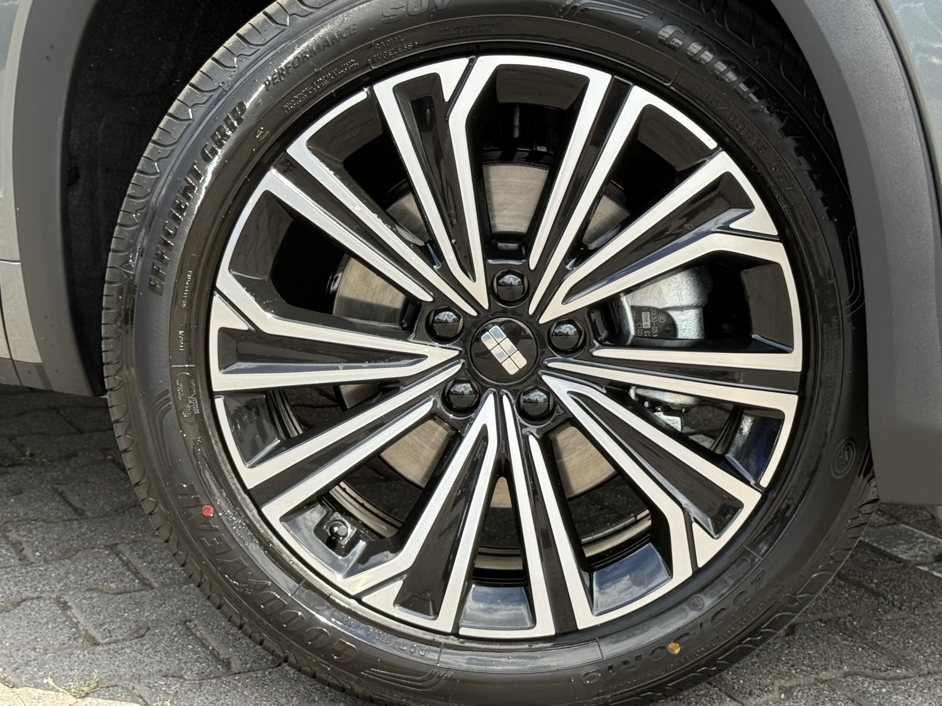 Foto van Geely Starray Em-i