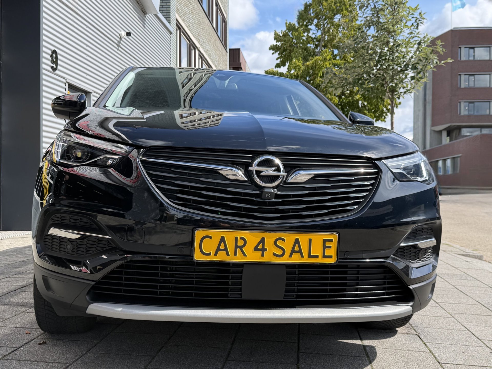 Foto van Opel Grandland X