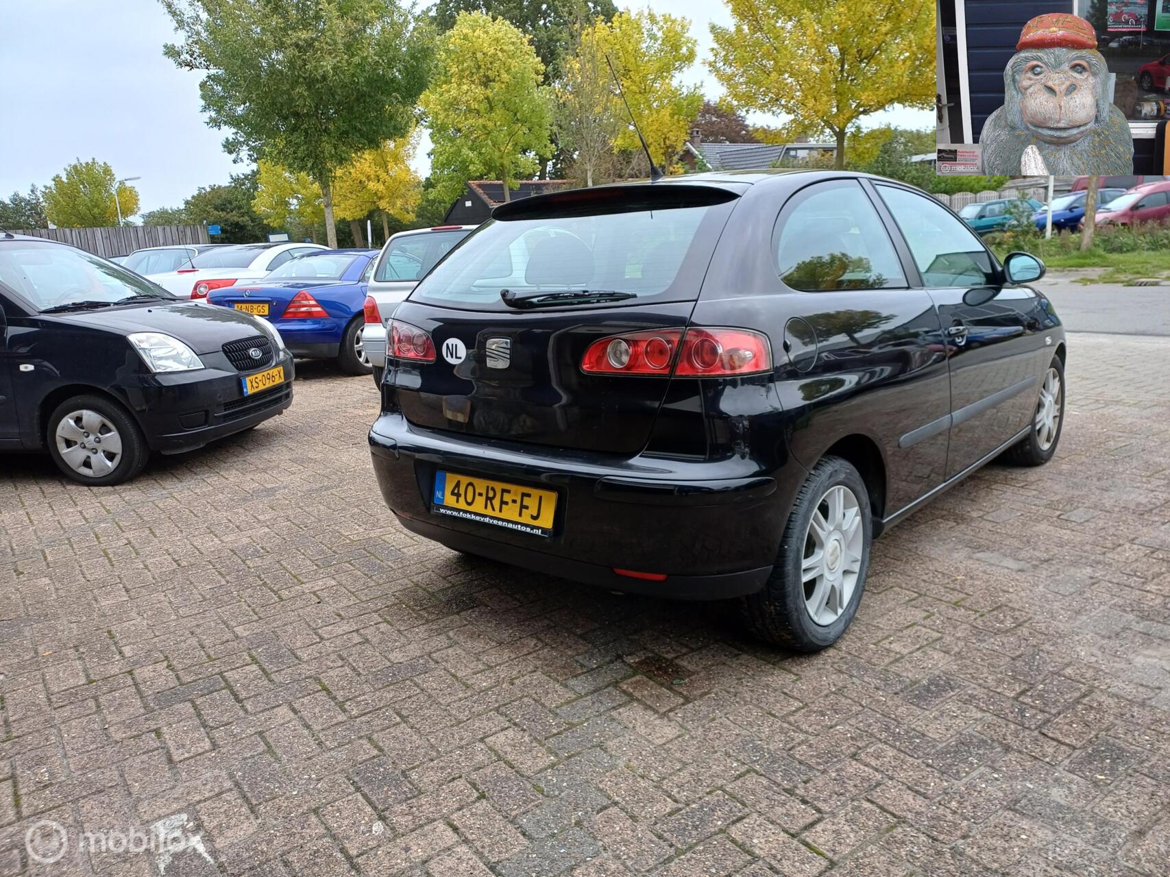 Foto van Seat Ibiza