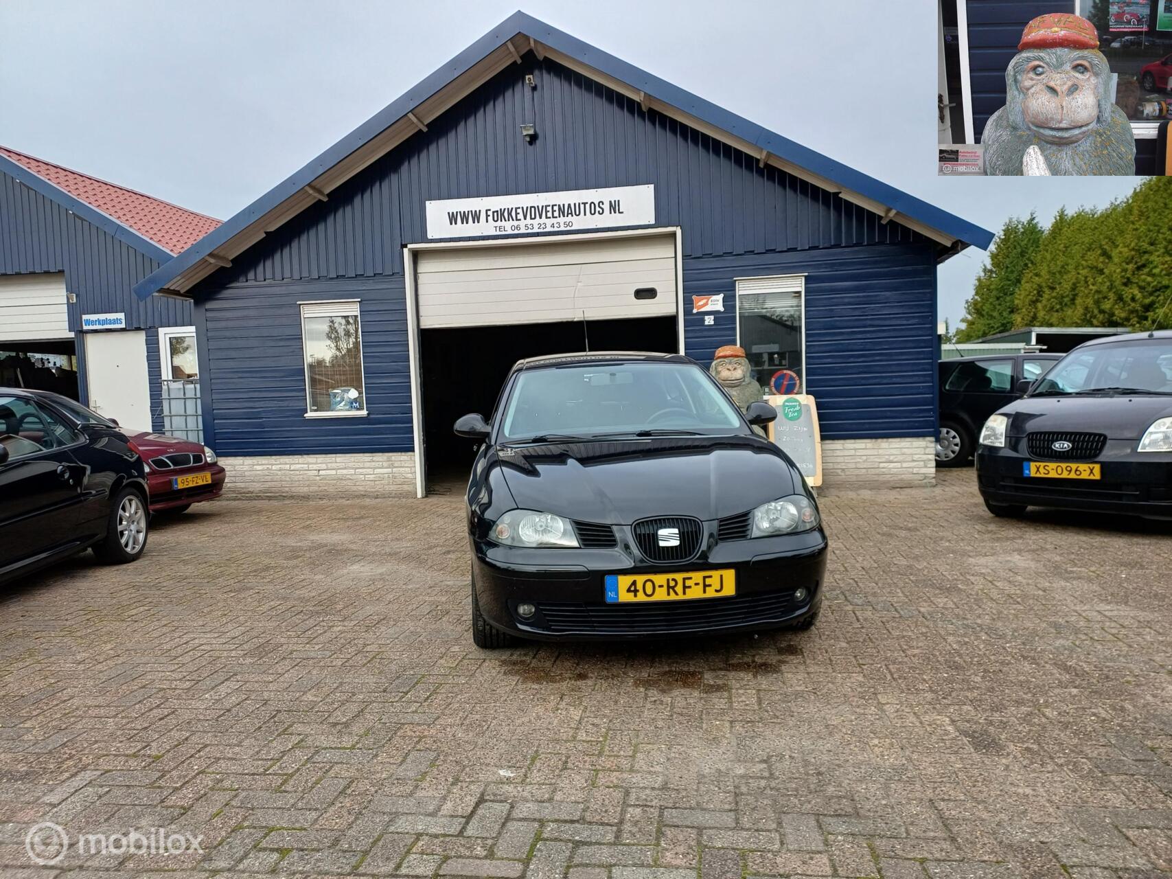 Foto van Seat Ibiza