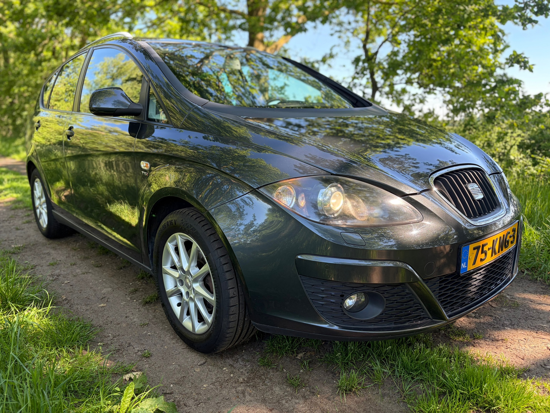 Foto van Seat Altea XL