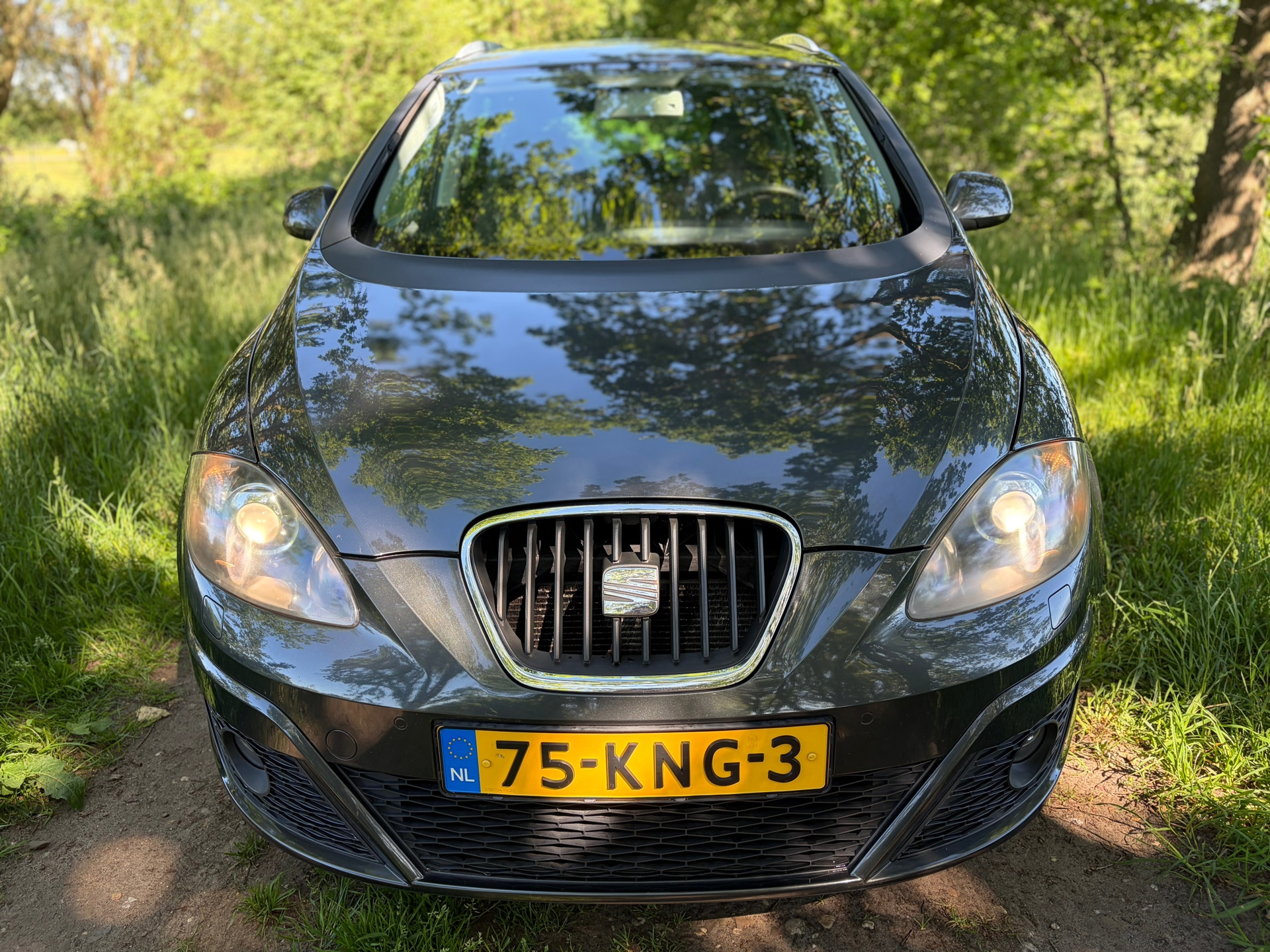 Foto van Seat Altea XL