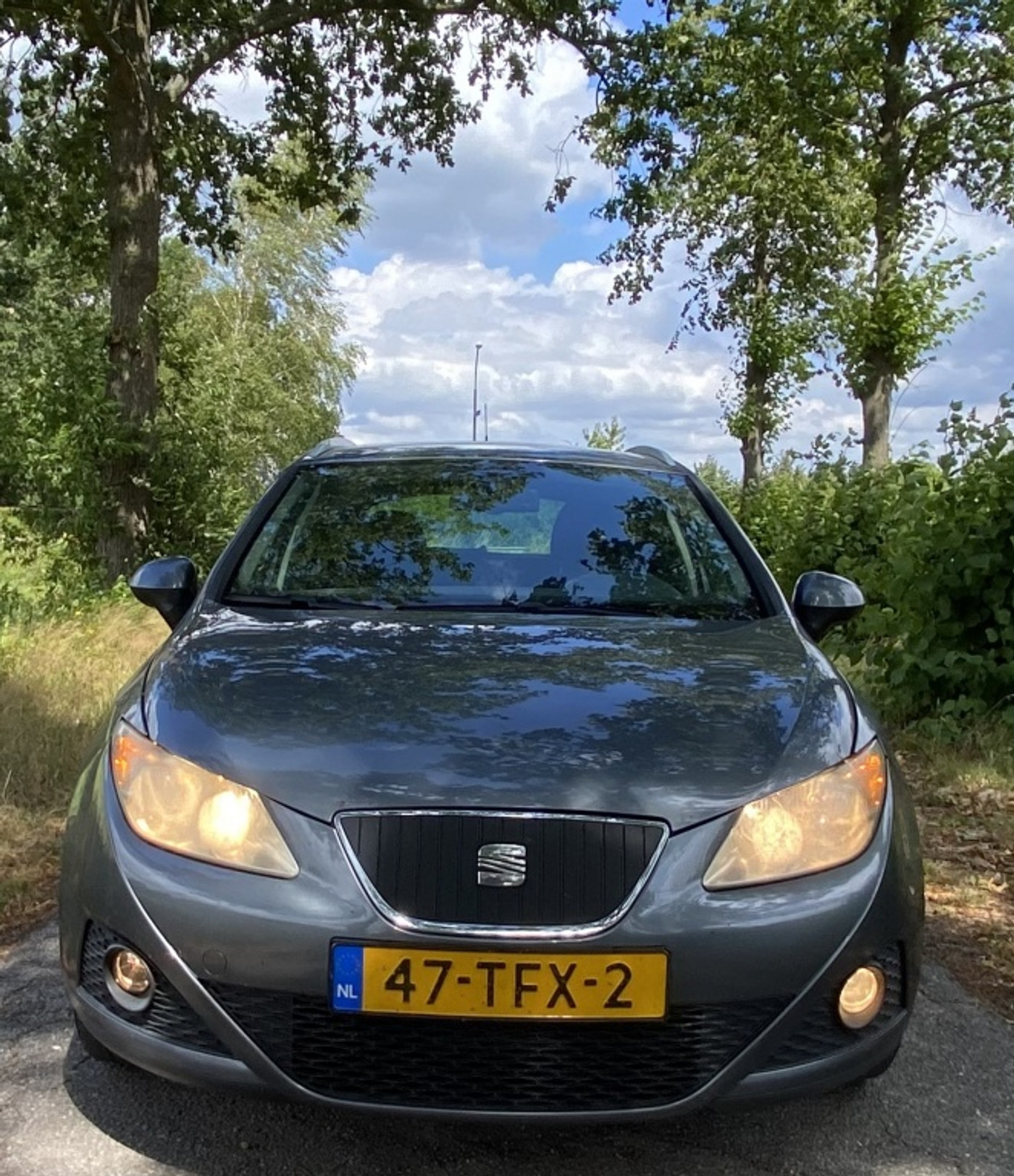 Foto van Seat Ibiza ST