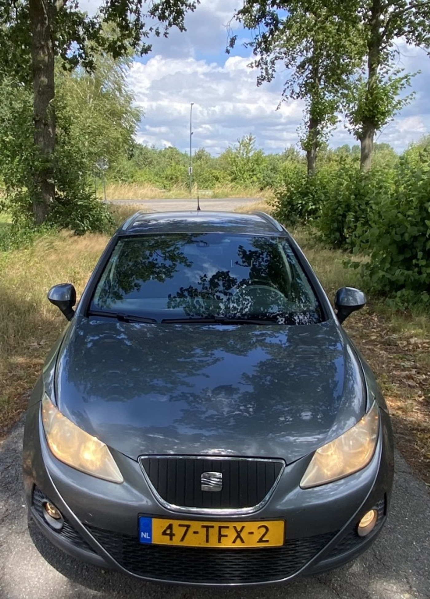 Foto van Seat Ibiza ST
