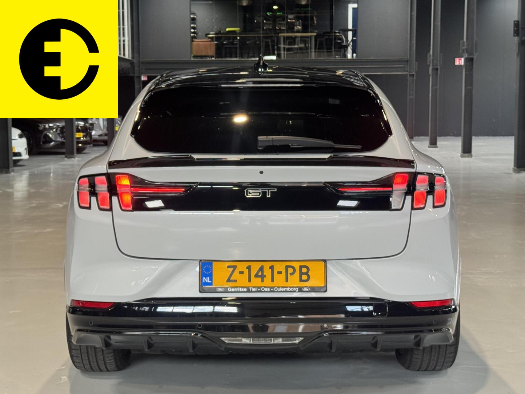 Foto van Ford Mustang Mach-e