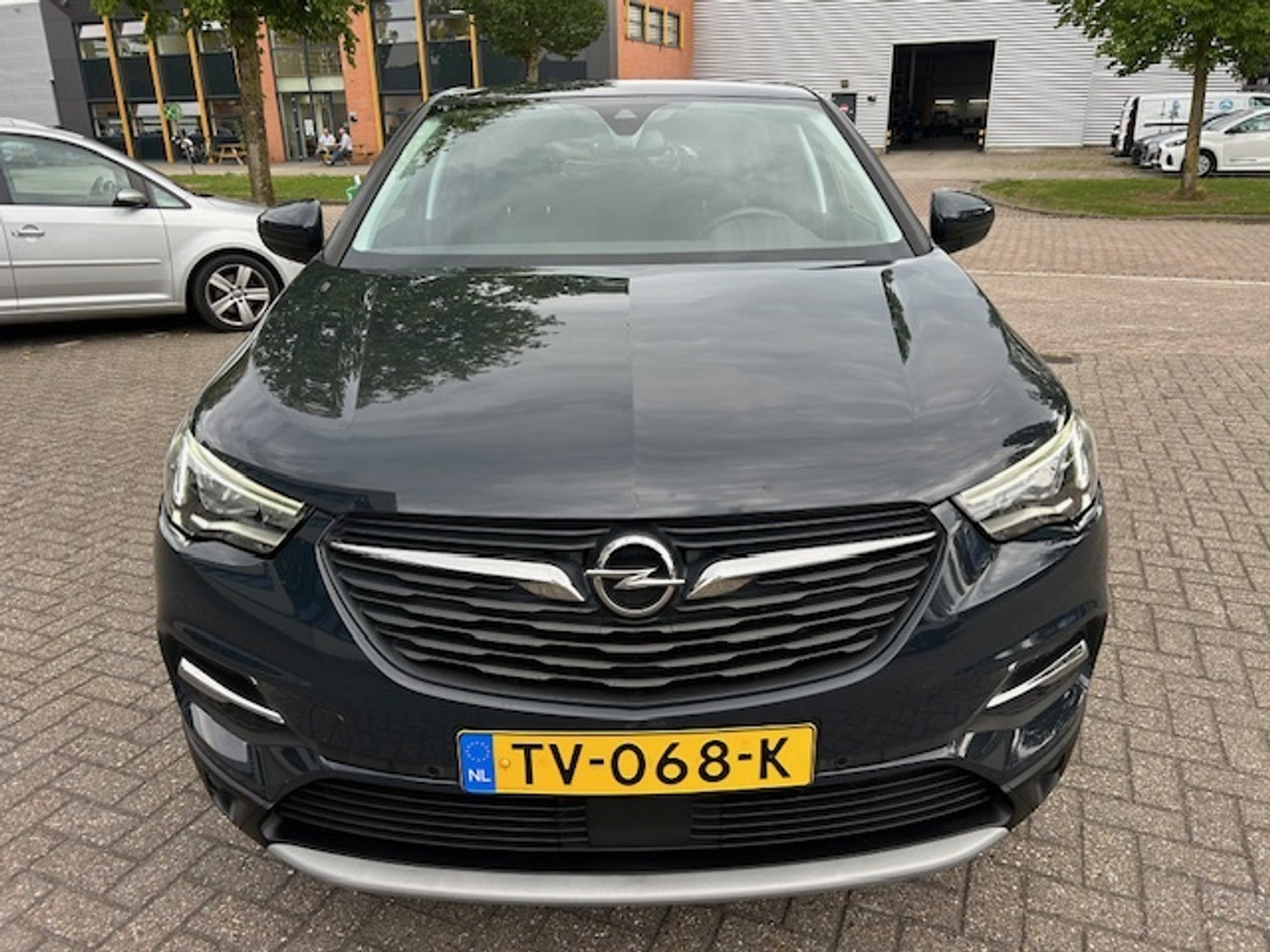 Foto van Opel Grandland X