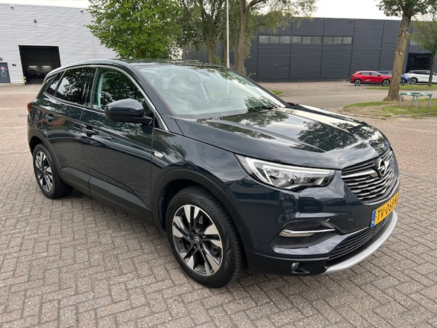 Foto van Opel Grandland X