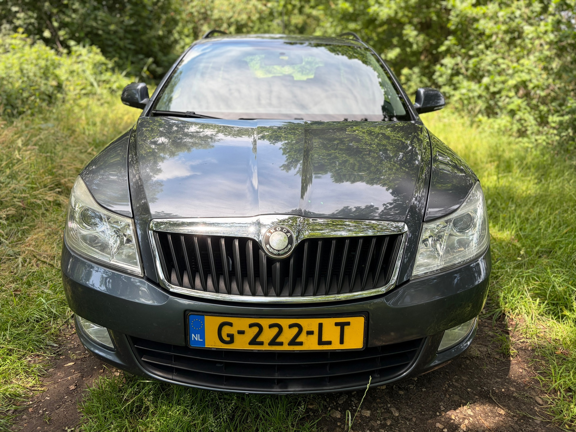 Foto van Skoda Octavia