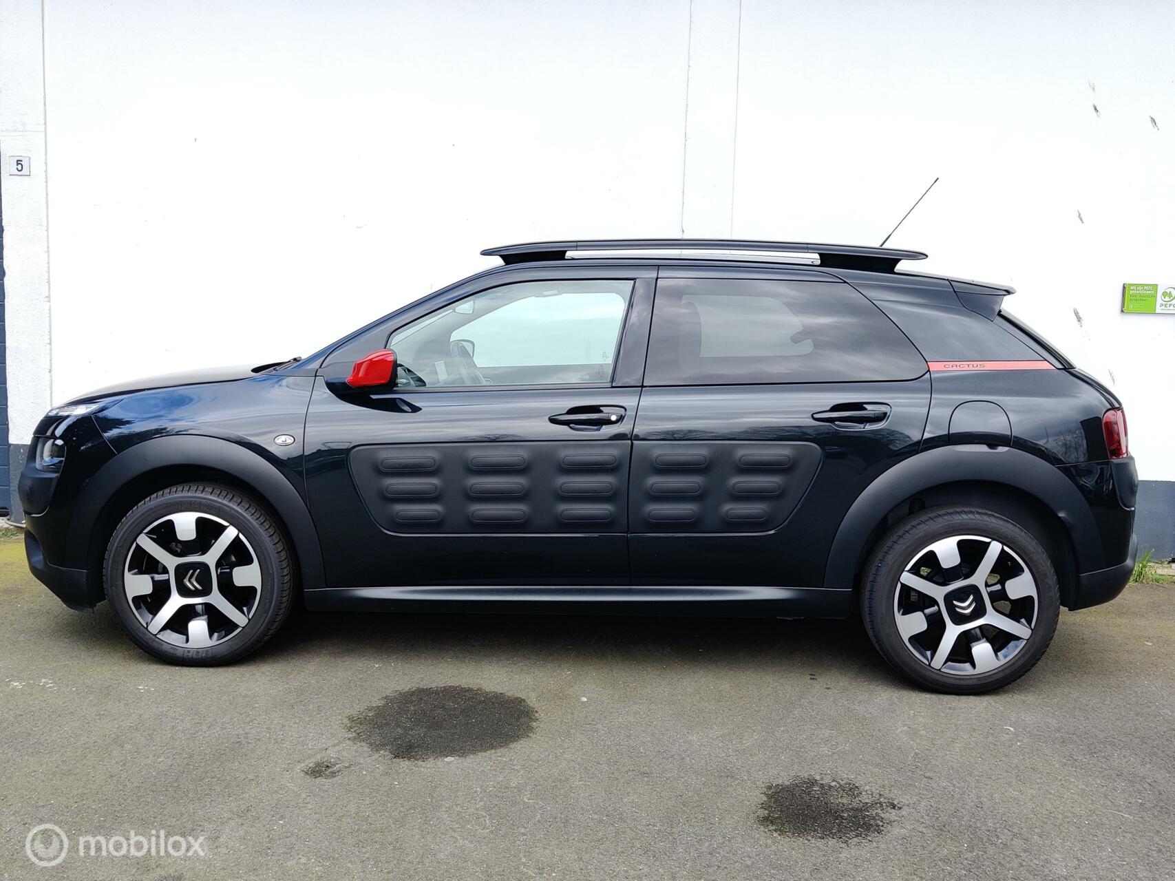 Foto van Citroen C4 Cactus