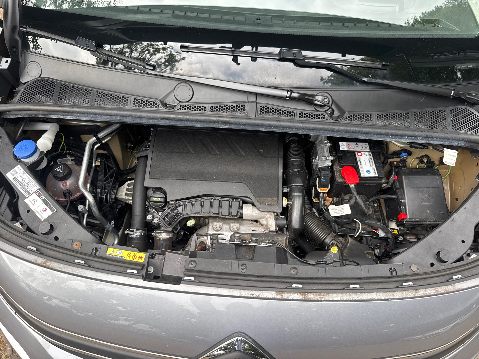 Foto van Citroen Berlingo