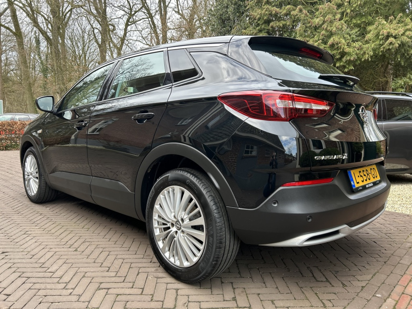 Foto van Opel Grandland X