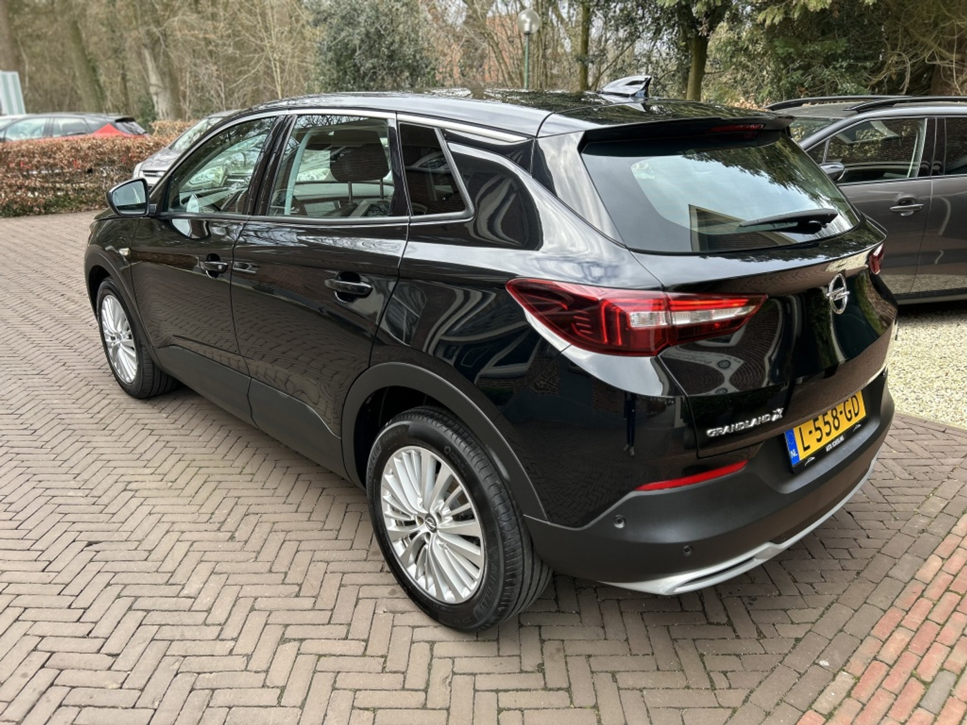 Foto van Opel Grandland X