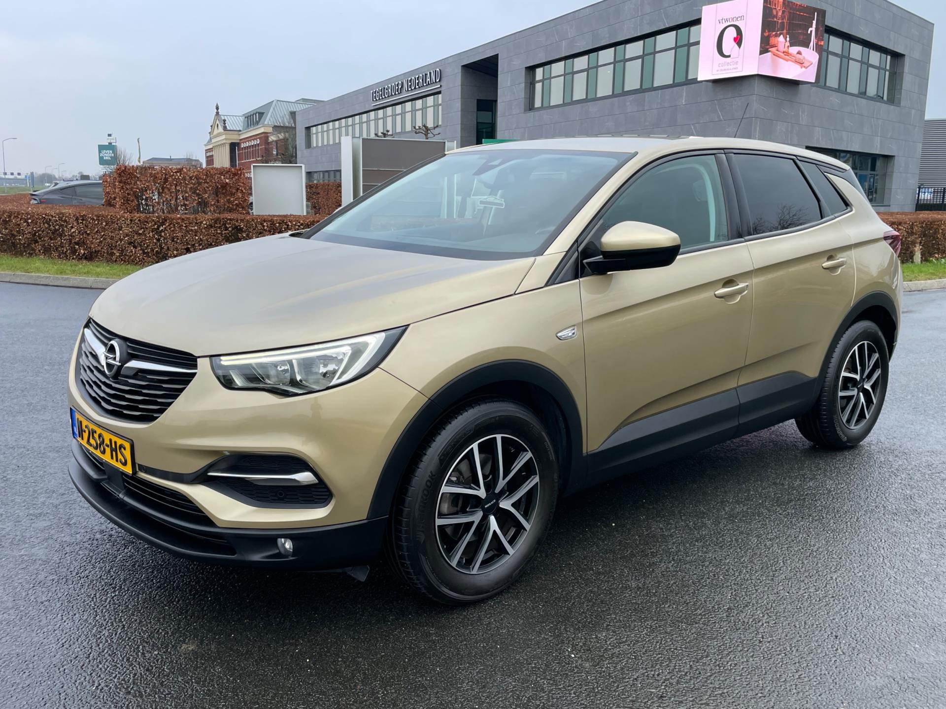 Foto van Opel Grandland X