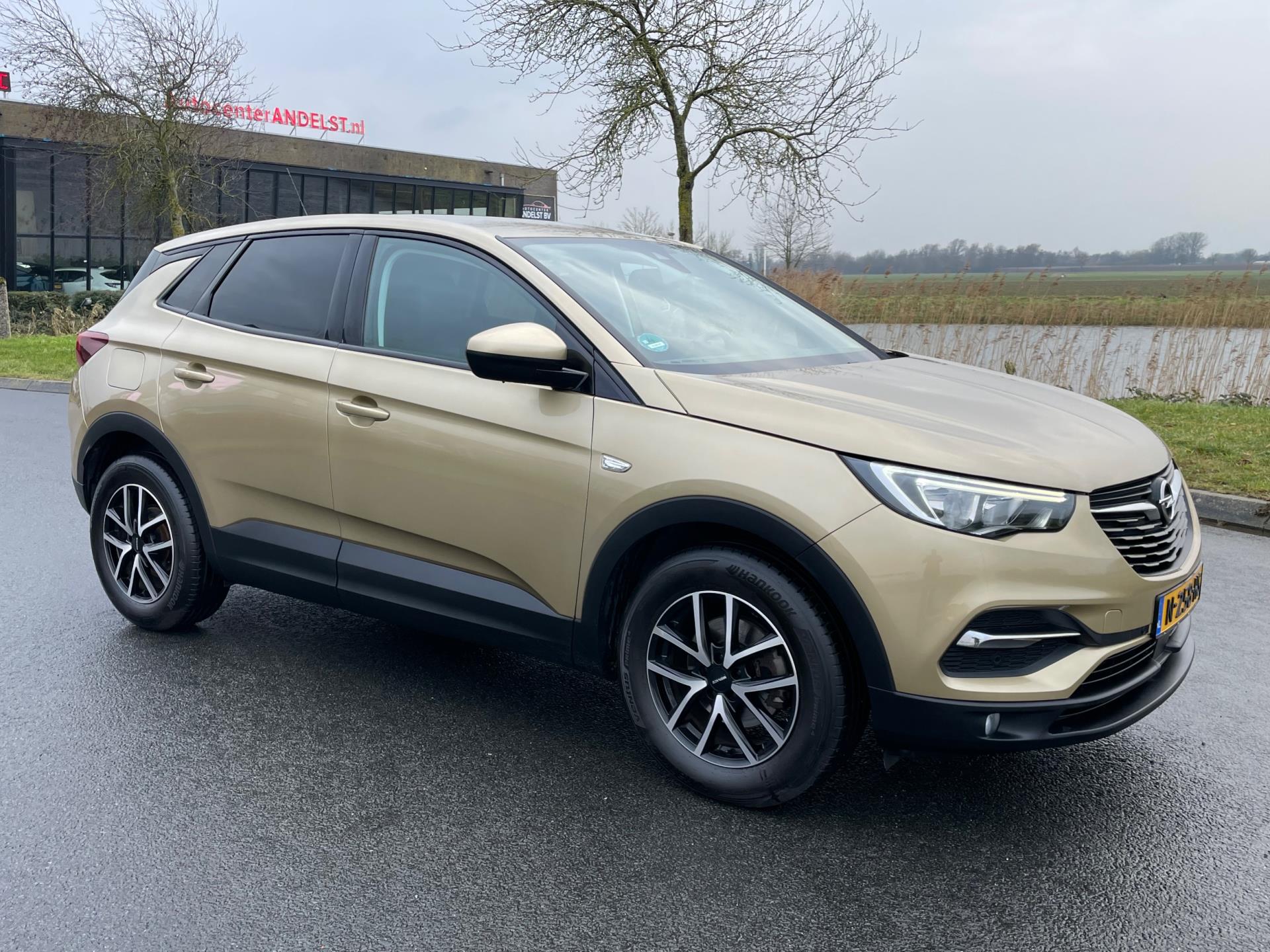 Foto van Opel Grandland X