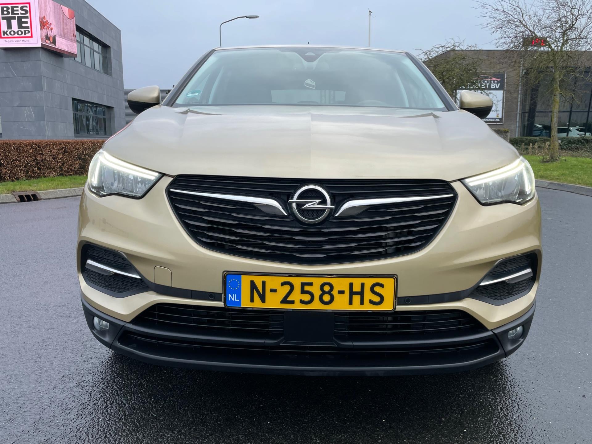 Foto van Opel Grandland X