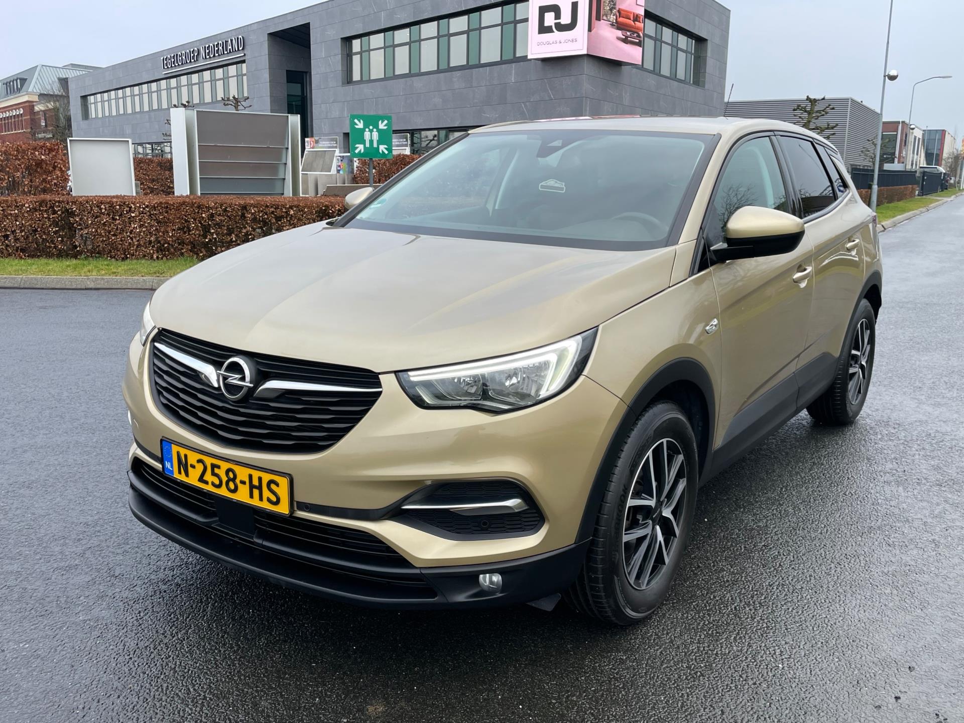 Foto van Opel Grandland X