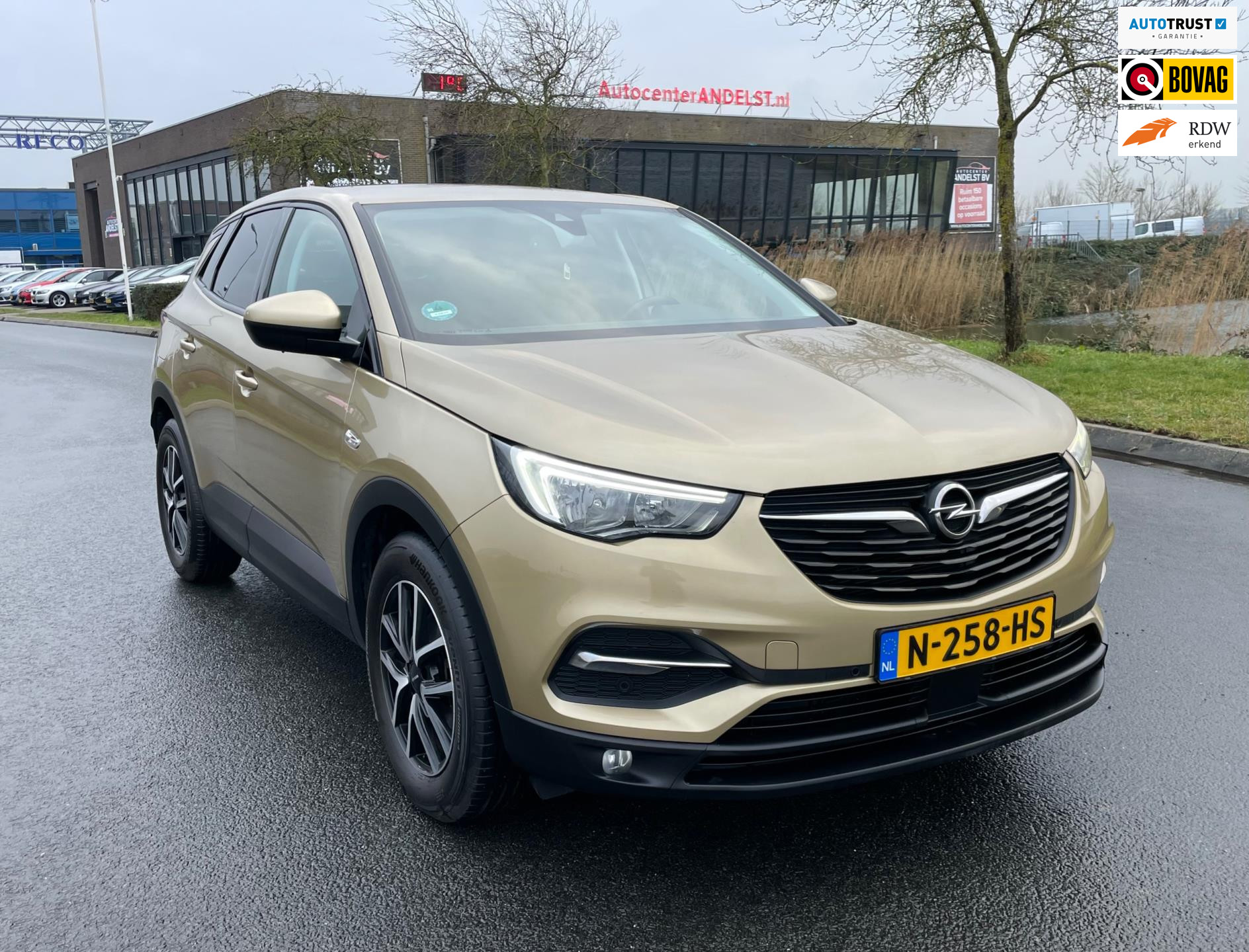 Opel Grandland X 1.2 Turbo Innovation, Aut, Trekhaak, Pdc, Stoelverw, Stuurverw, Cruise/Climate control! 2018 - voorkant