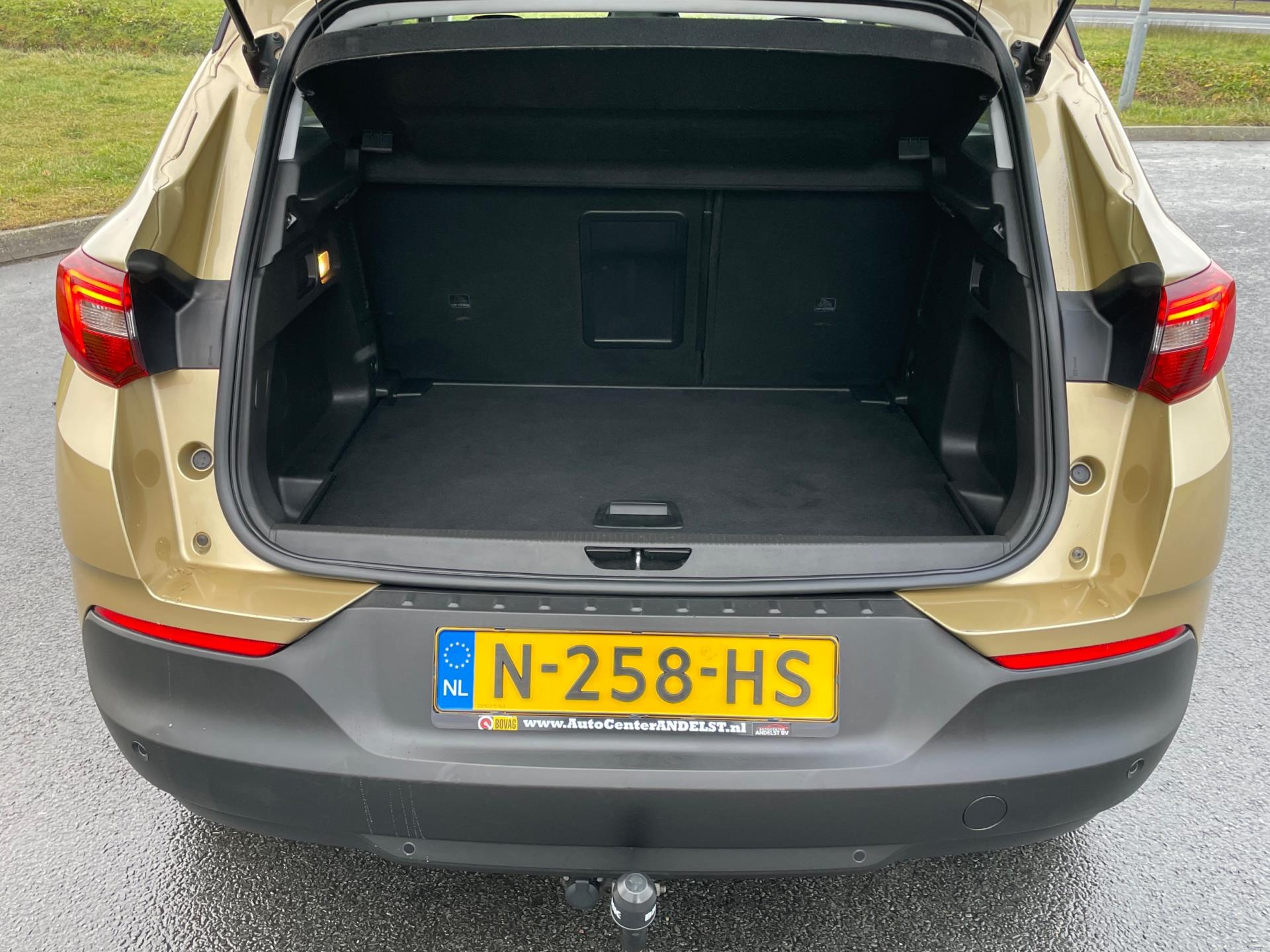 Foto van Opel Grandland X