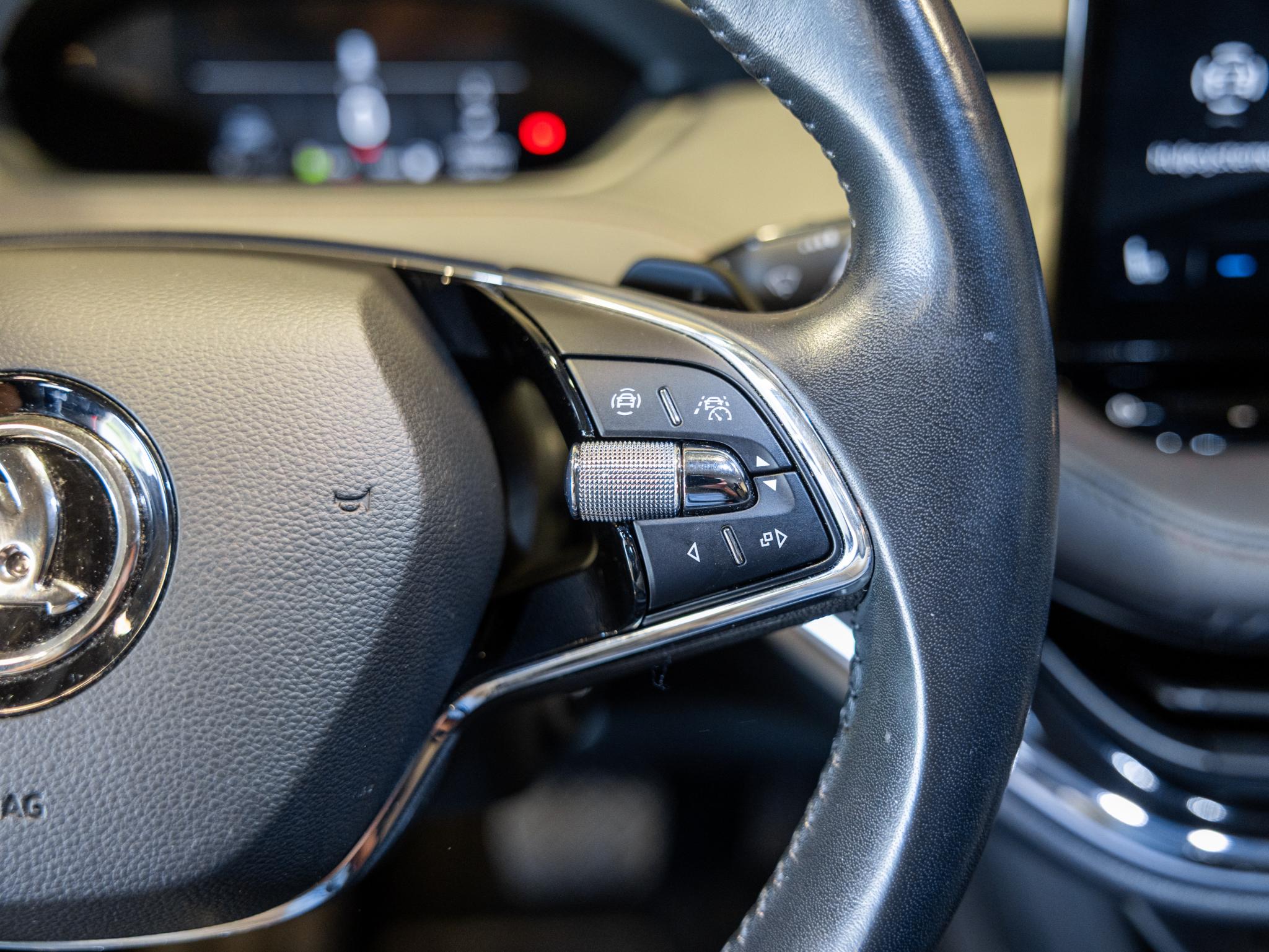 Foto van Skoda Enyaq 80